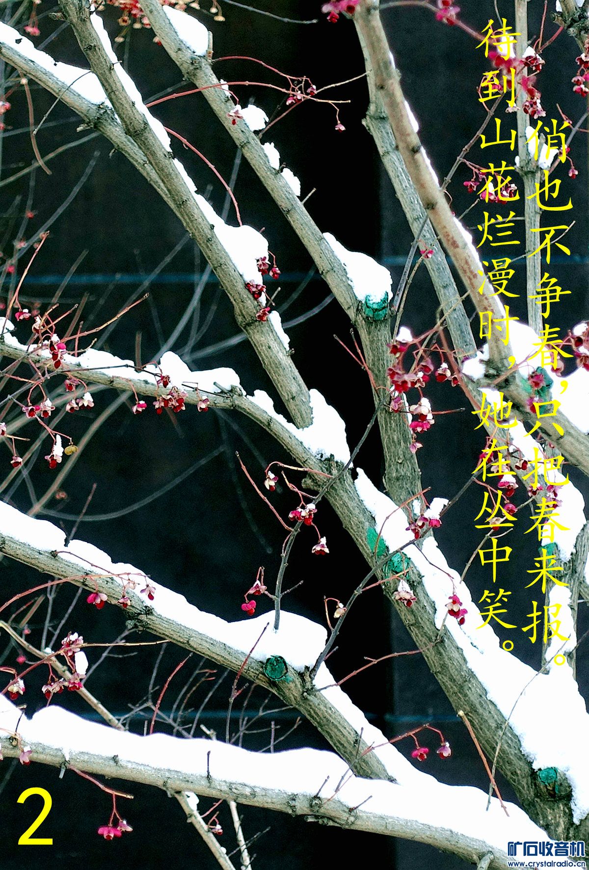 DSC00735.jpg