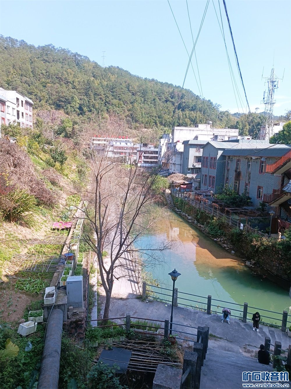 MVIMG_20240212_140208.jpg