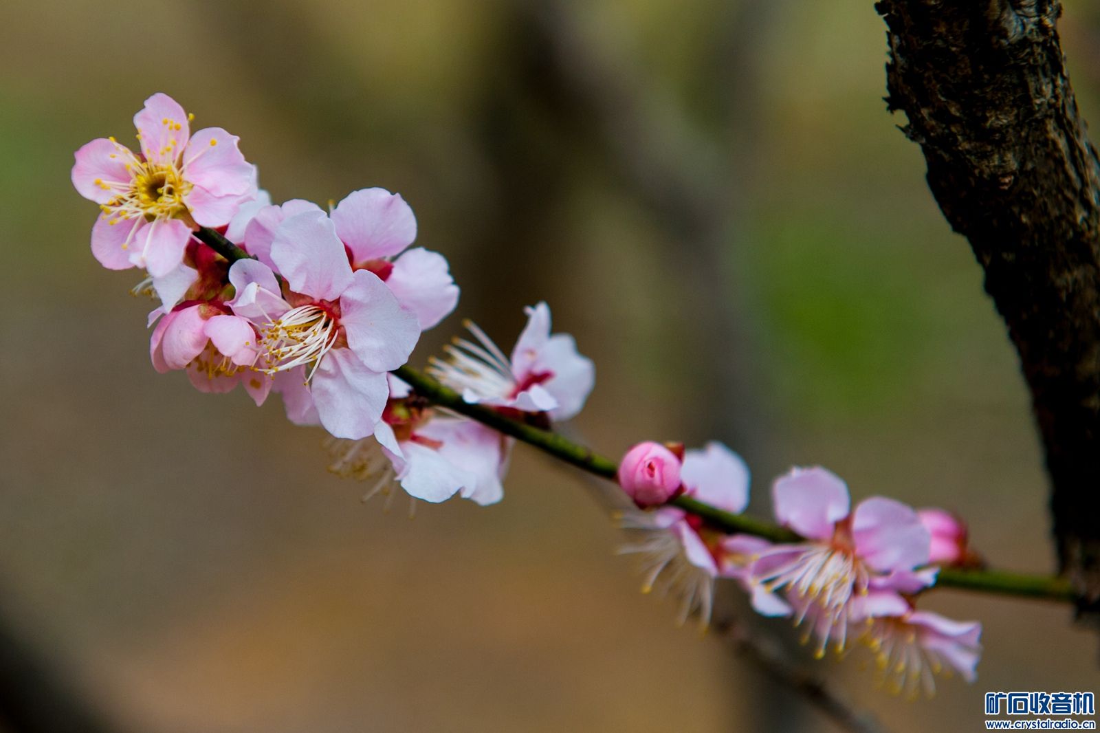 DSC_5095.JPG