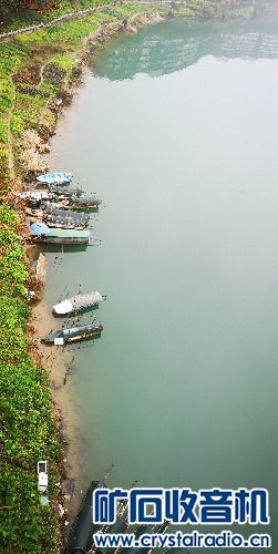 IMG_20240217_132114.jpg
