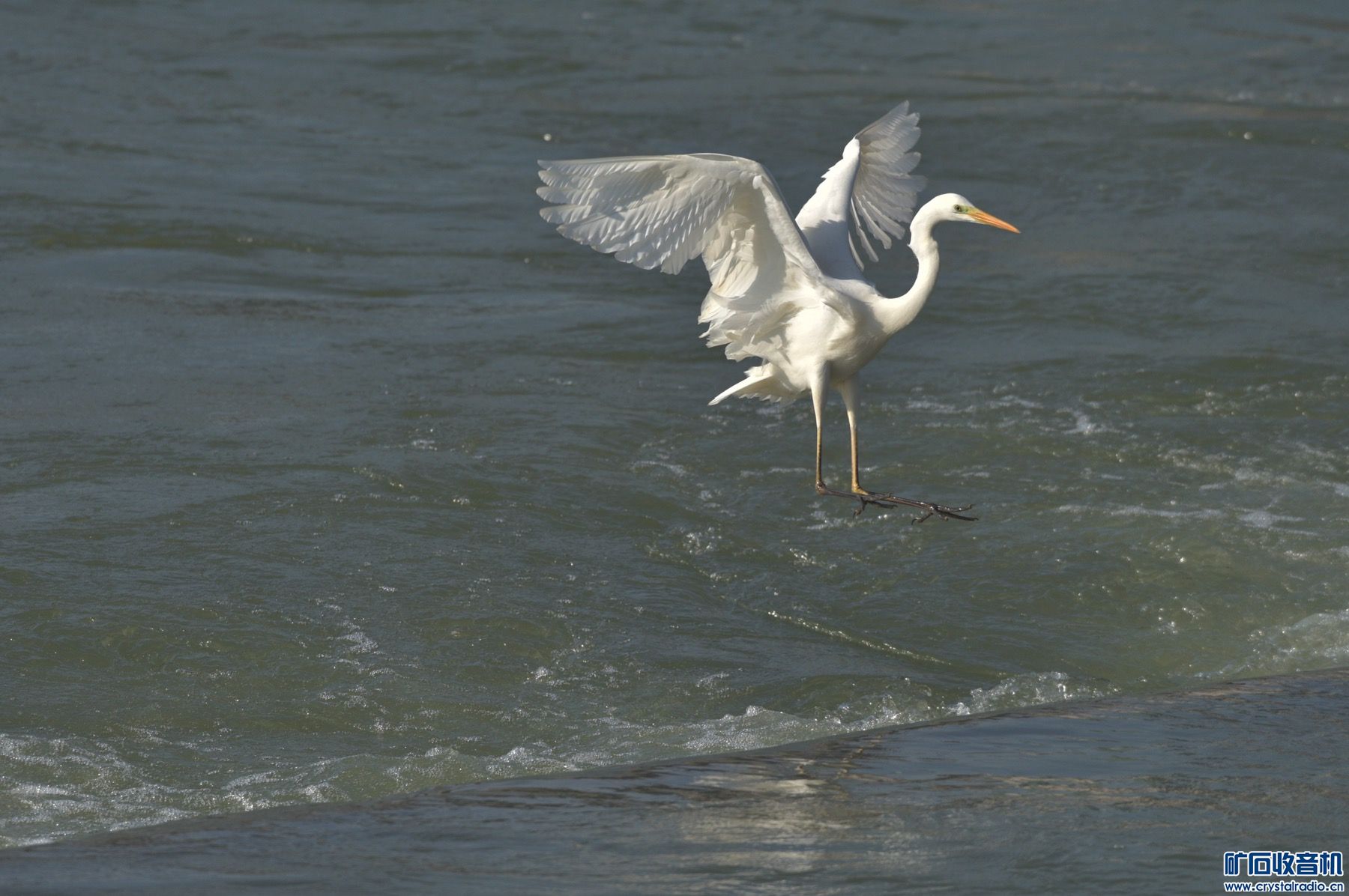 D021DB49-06EF-4D87-AB21-04921D02C31F.jpeg