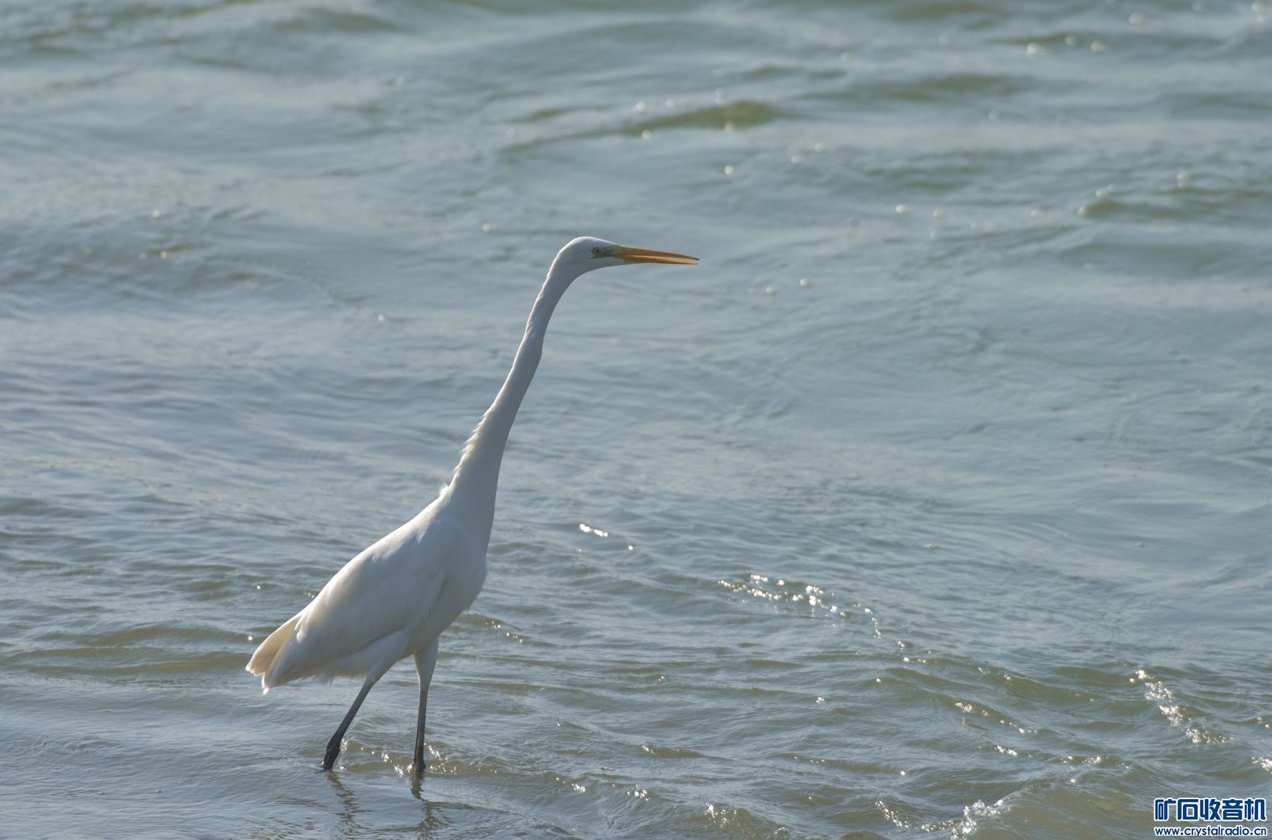 658A9AD3-D167-47D1-A088-1FDCA0B40F2B.jpeg