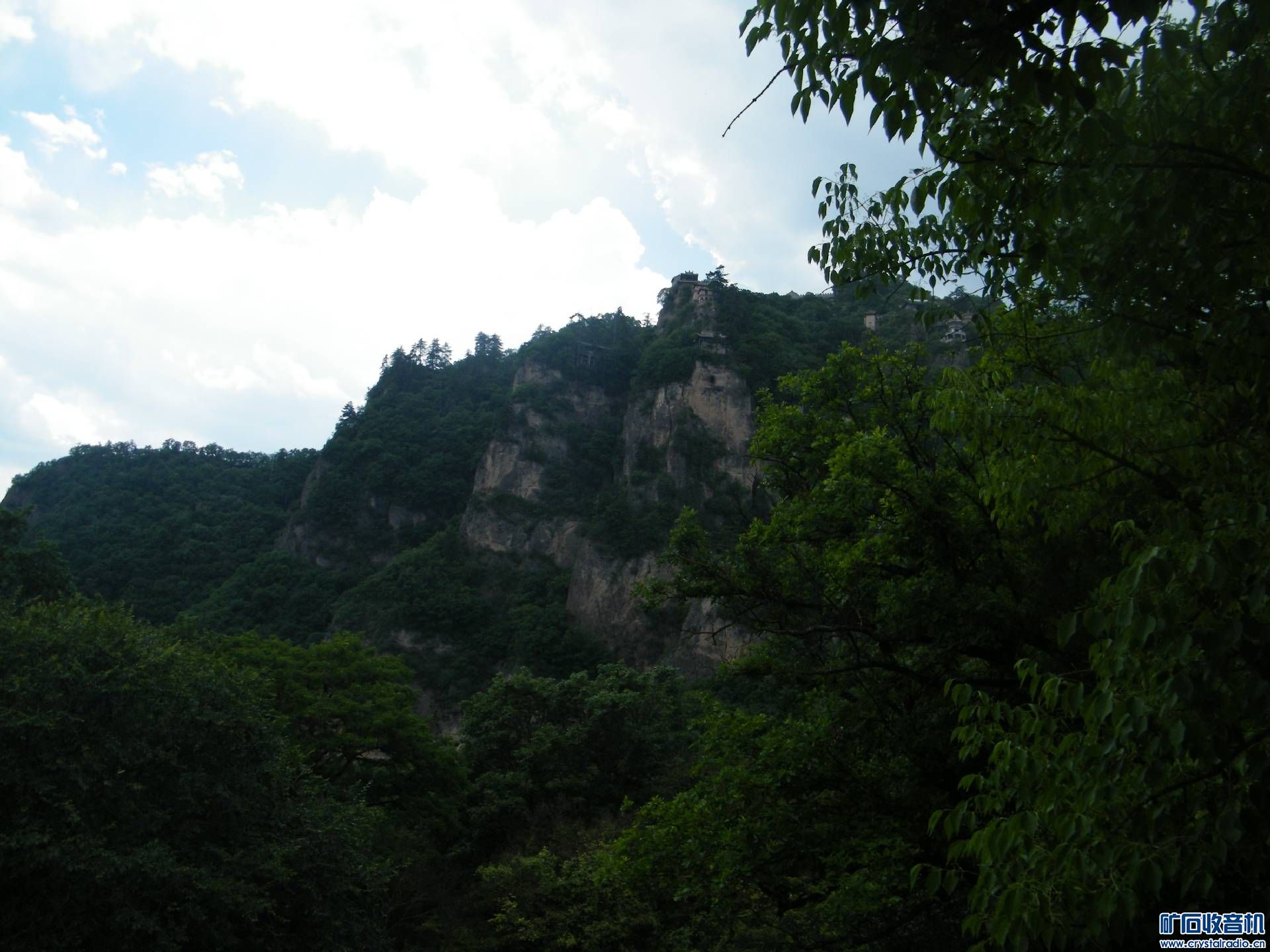 DSCF5436.jpg