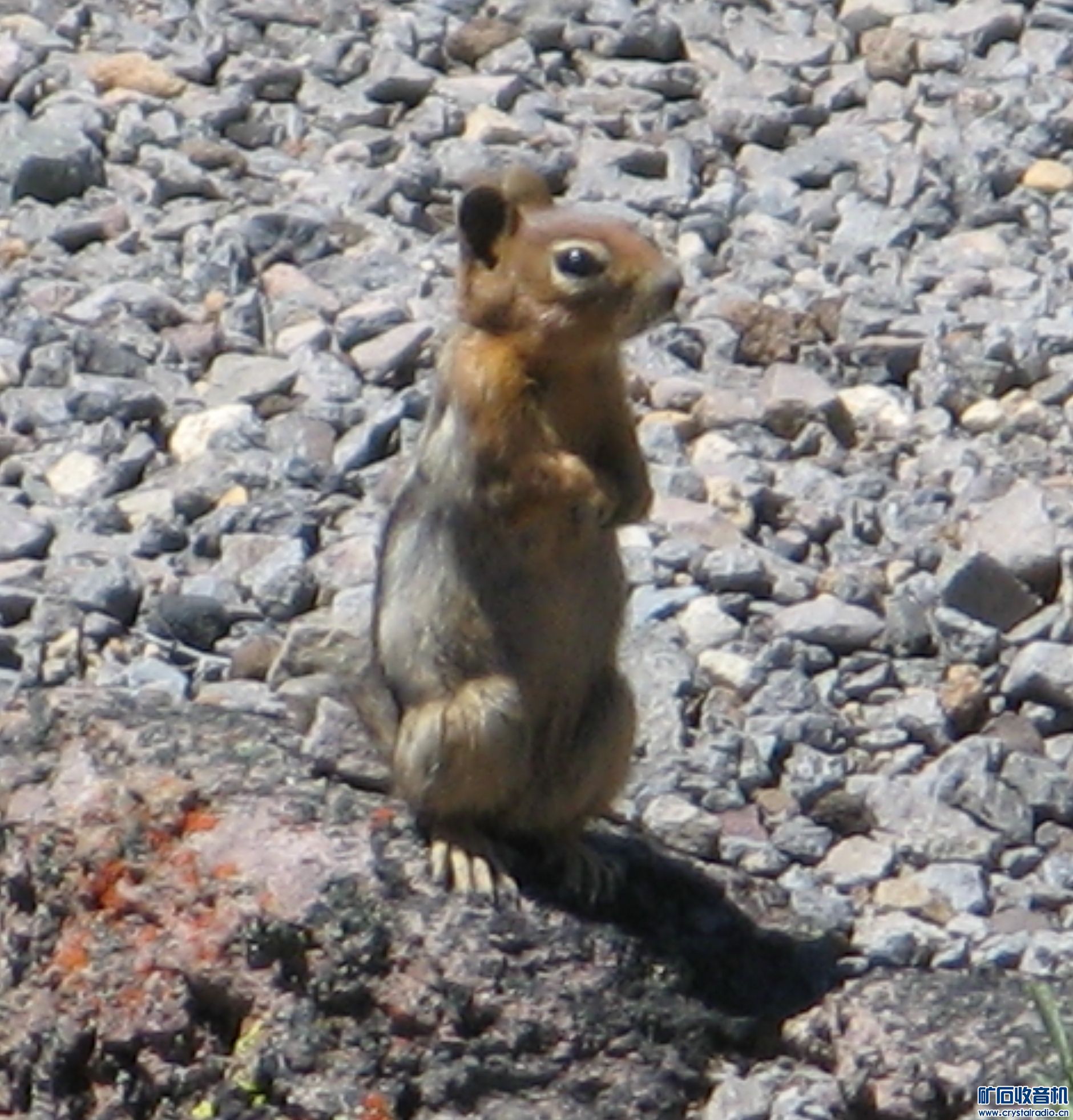 IMG_6793.JPG
