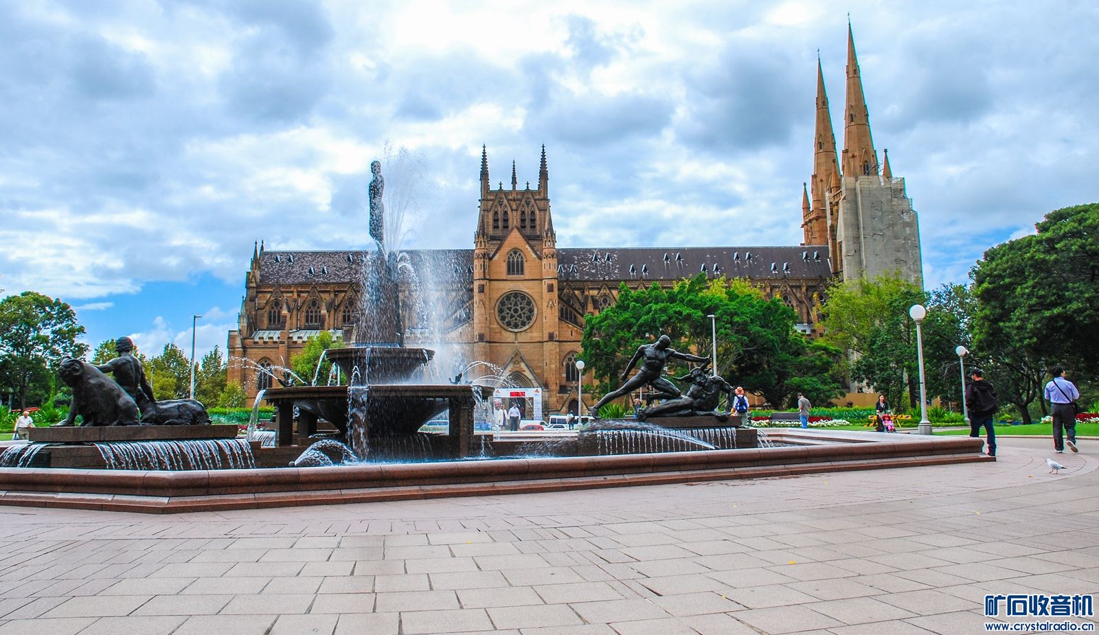 DSC_0104.JPG