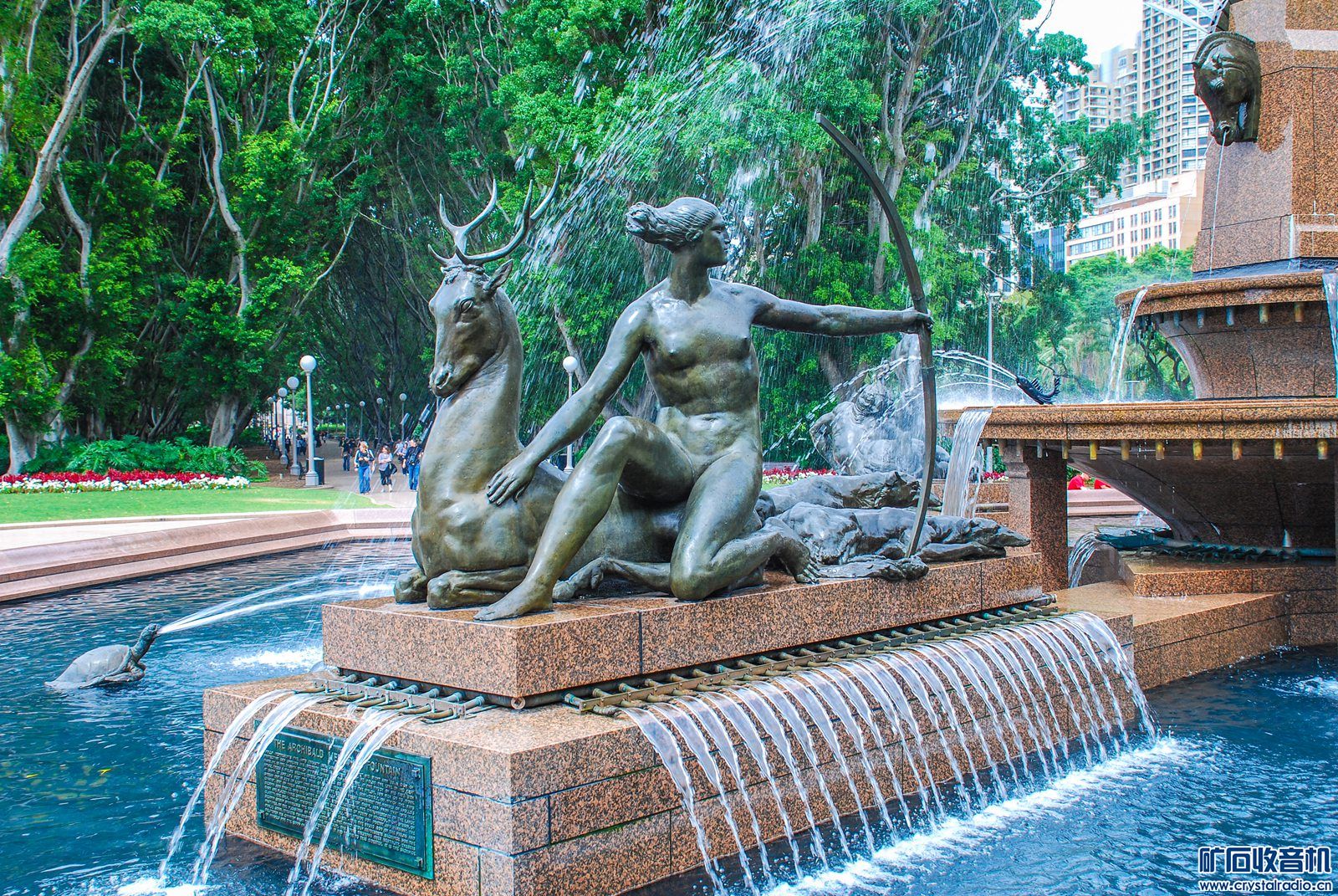 DSC_0114.JPG