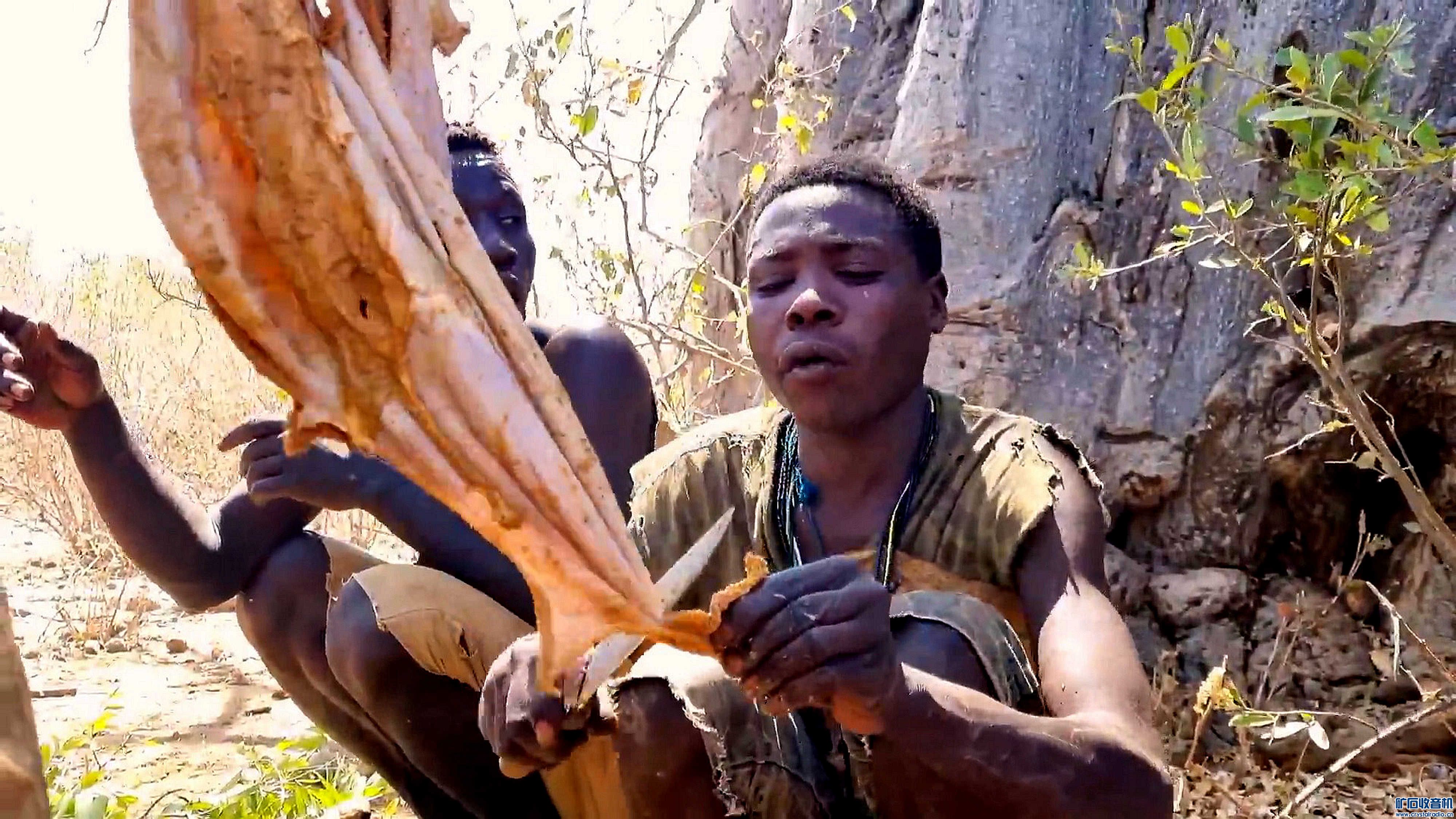 Why Do Hadzabe2006.jpg