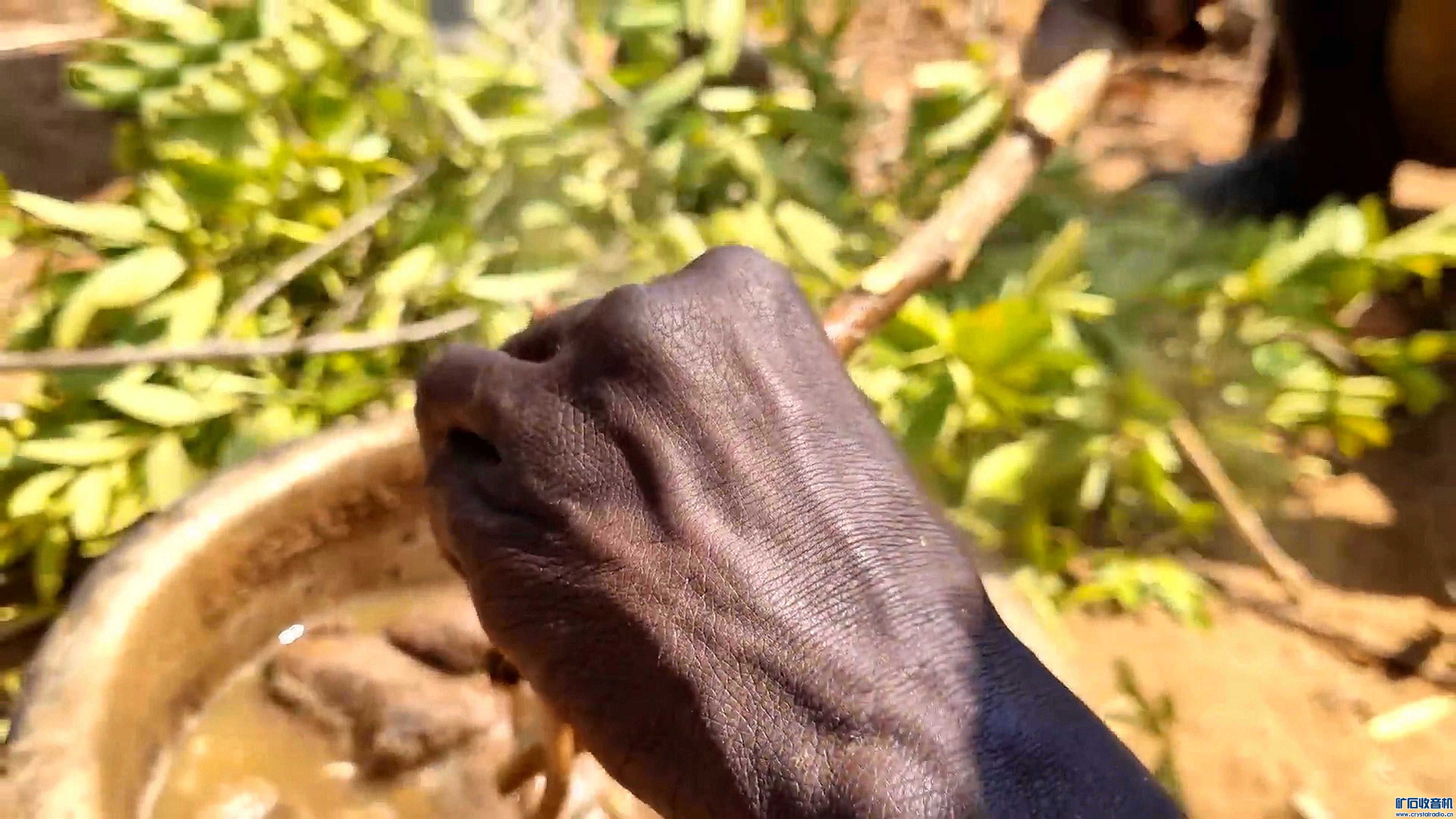Why Do Hadzabe2010.jpg