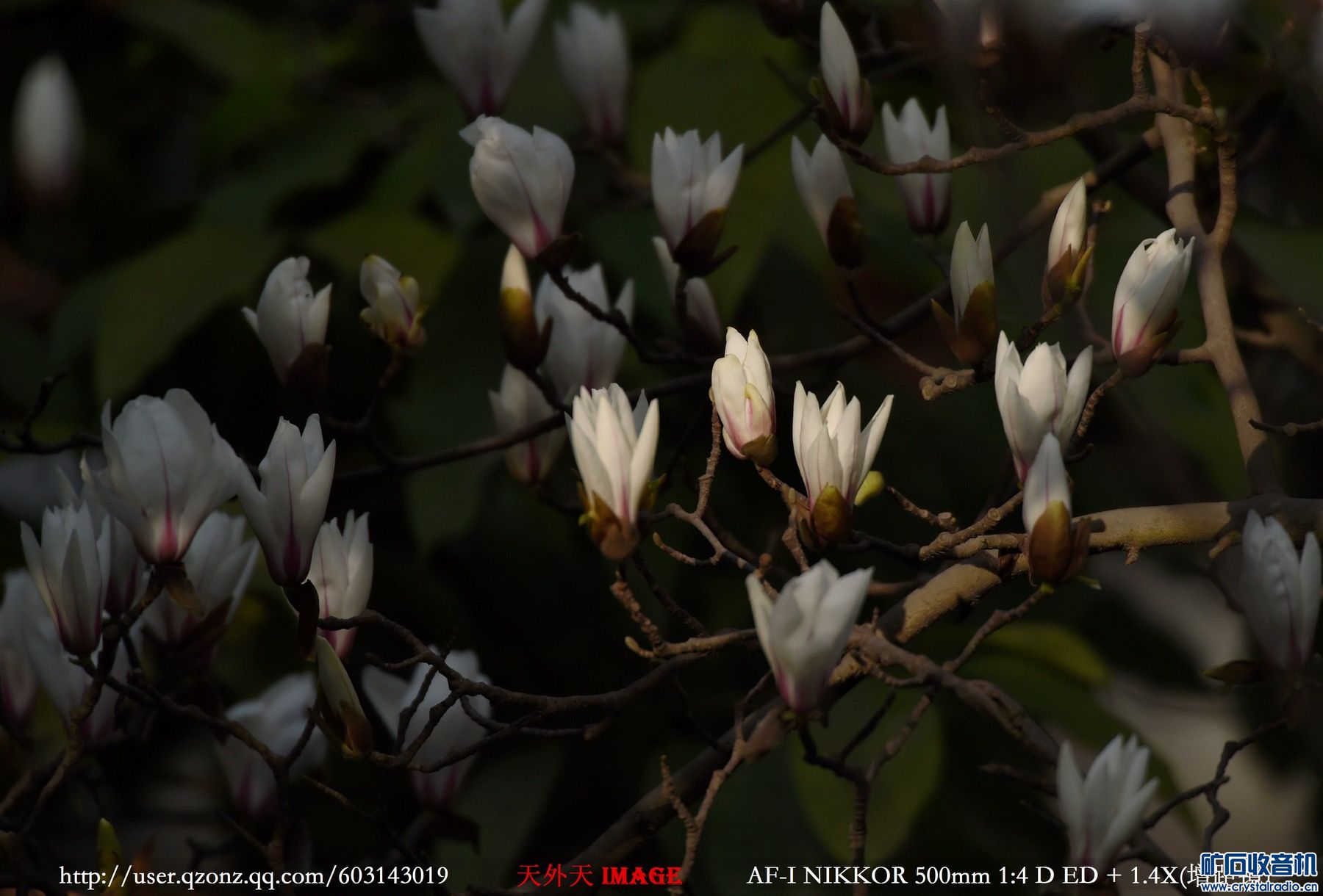 2EB0F328-28EA-4DFD-A02E-CFFD9D6732F2.jpeg