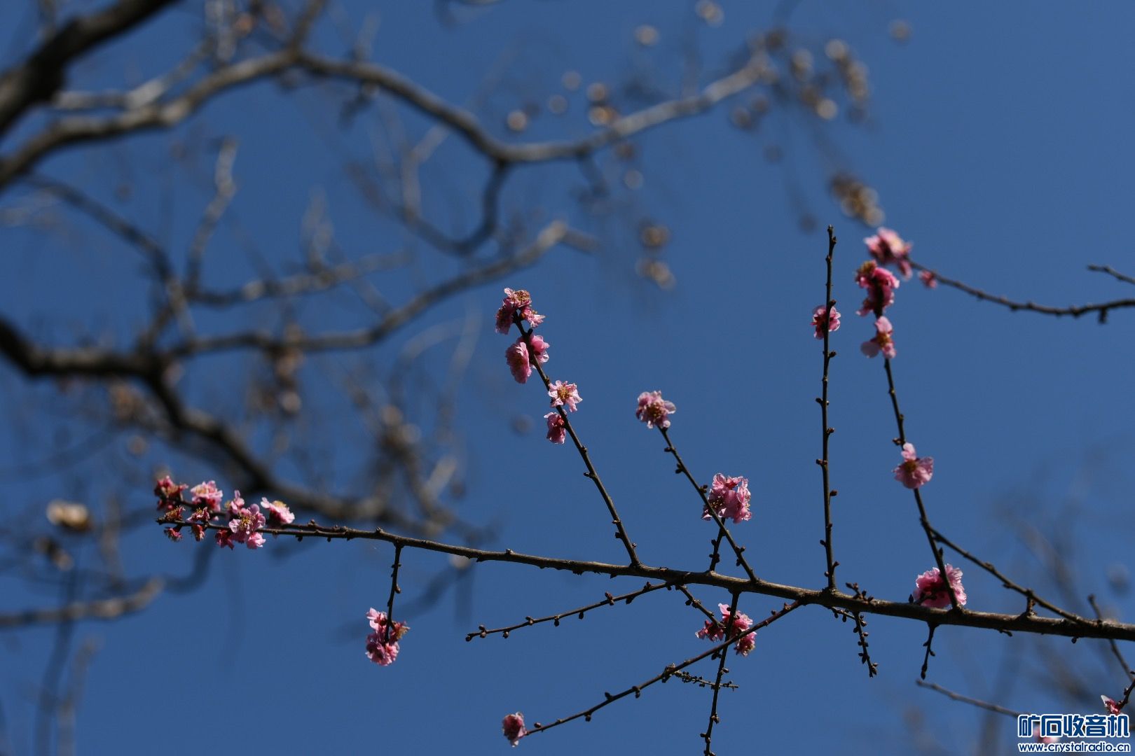 F28951B9-5D87-461E-ADC9-33C80C04FFED.jpeg
