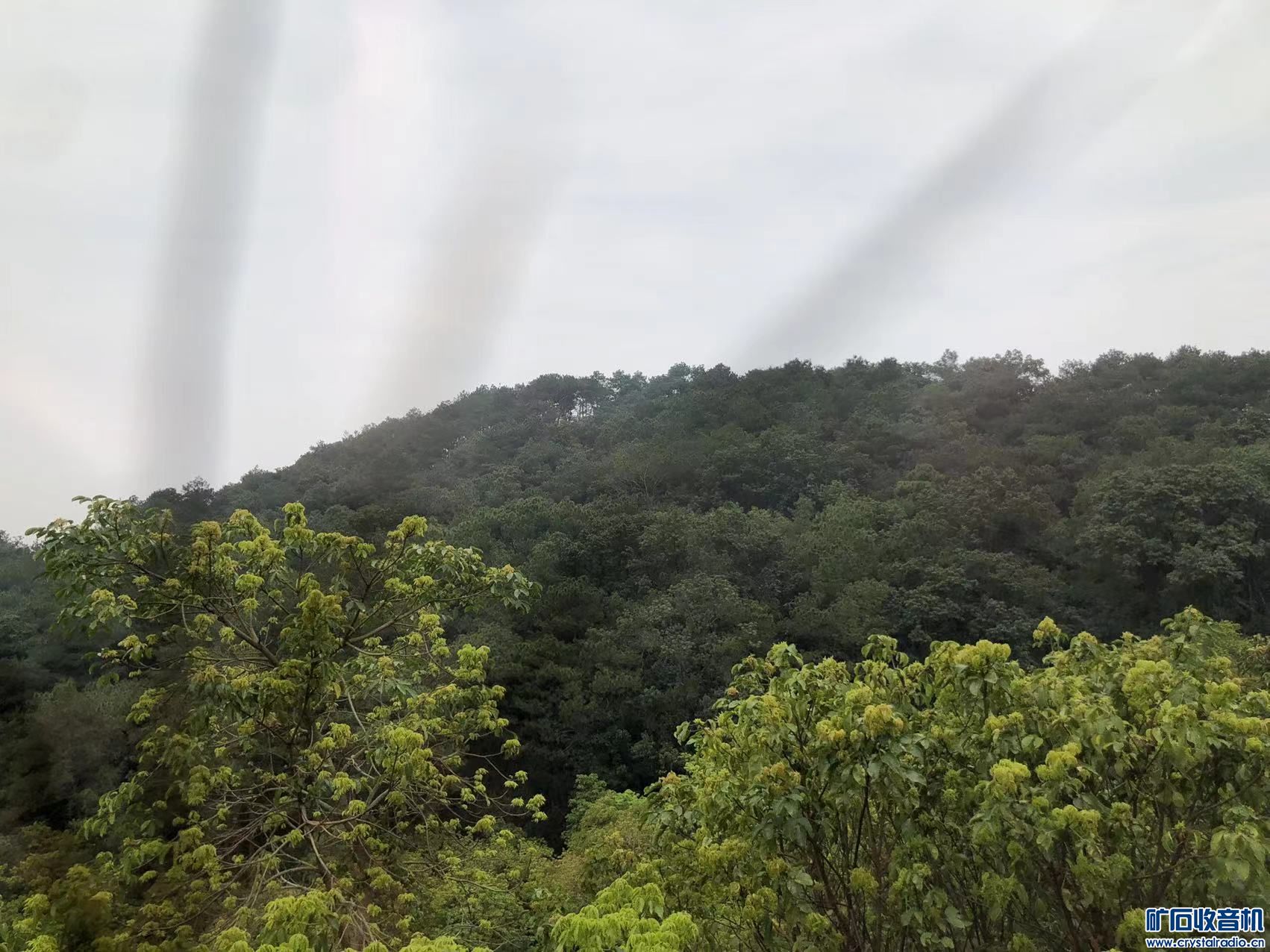 ΢ͼƬ_20240304091516.jpg