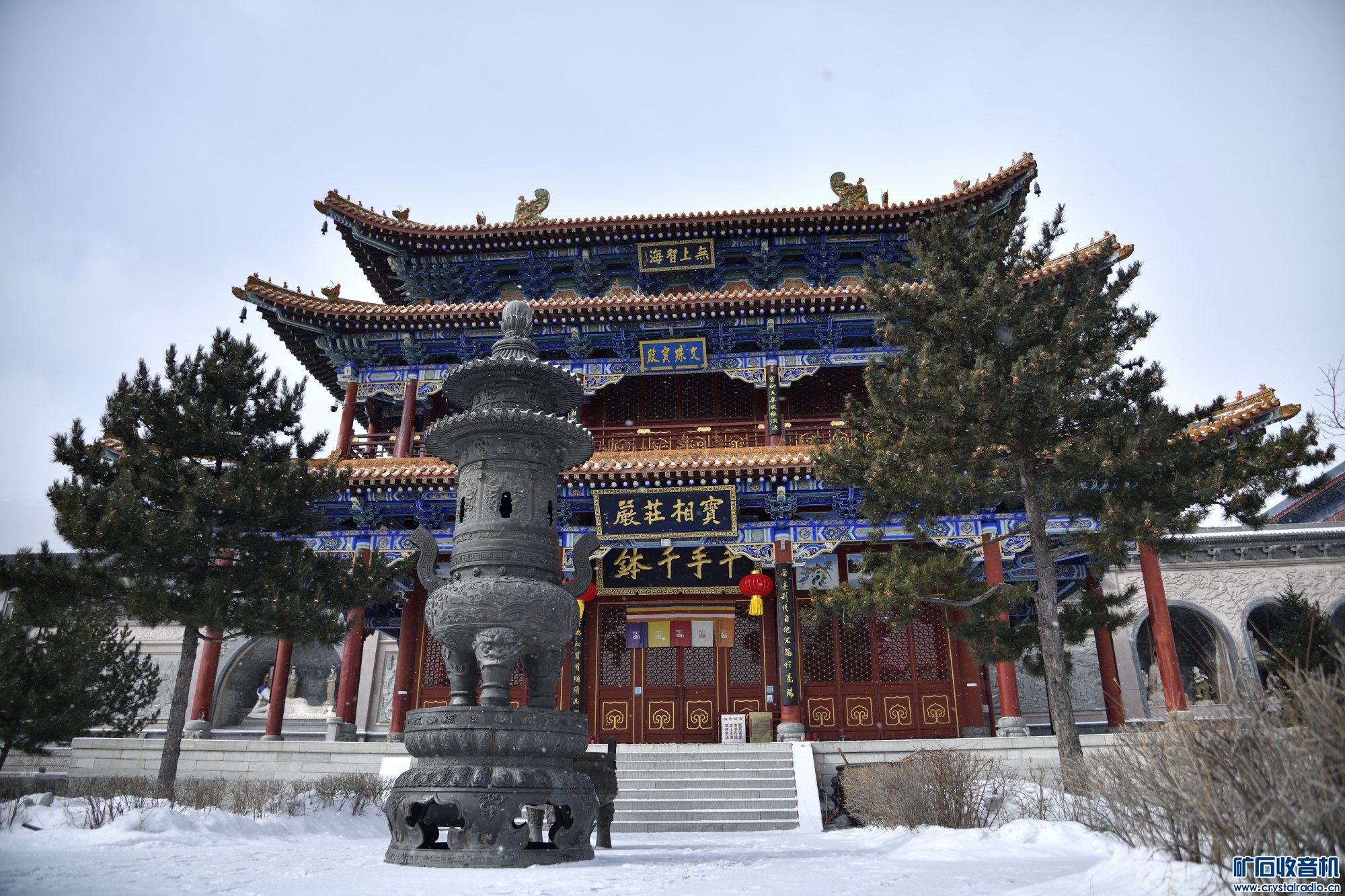 _ZLS9074_04.JPG