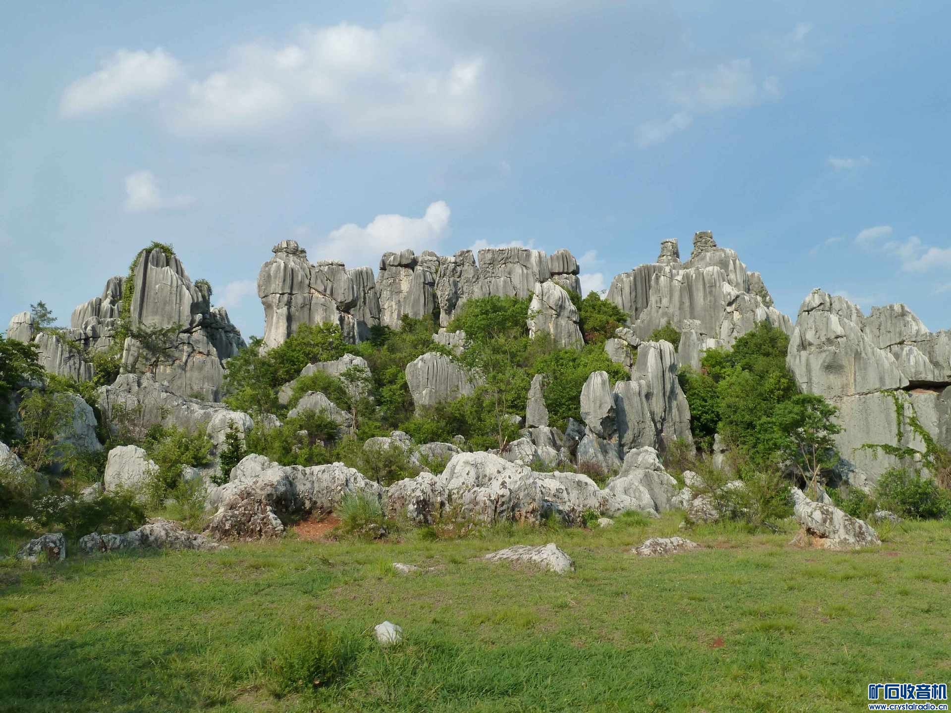 P1060889.jpg
