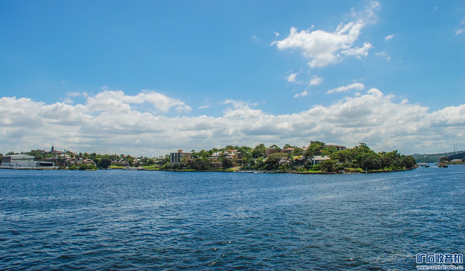 DSC_0146.JPG