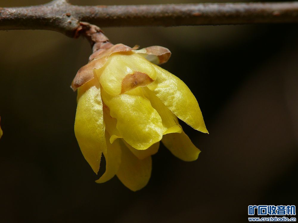 P1040155_YY.jpg