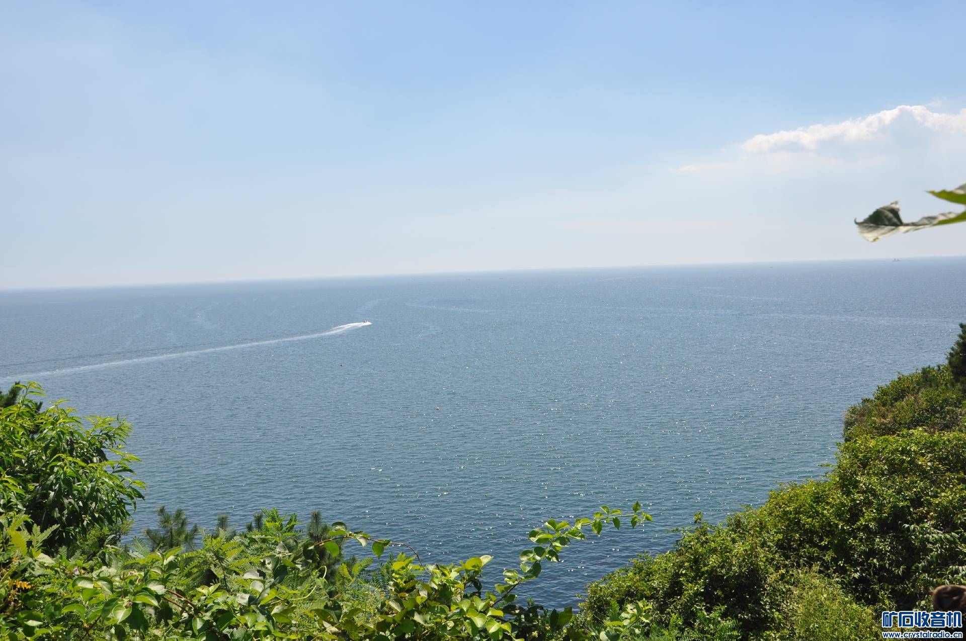 DSC_0055.jpg