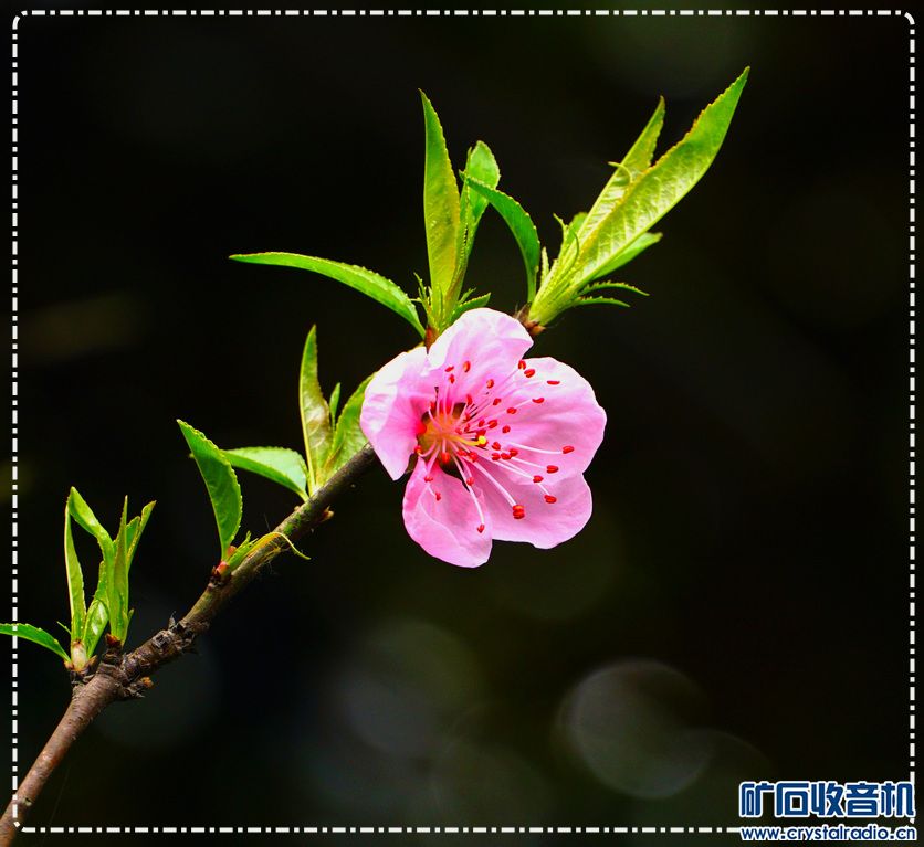 DSC08090.JPG