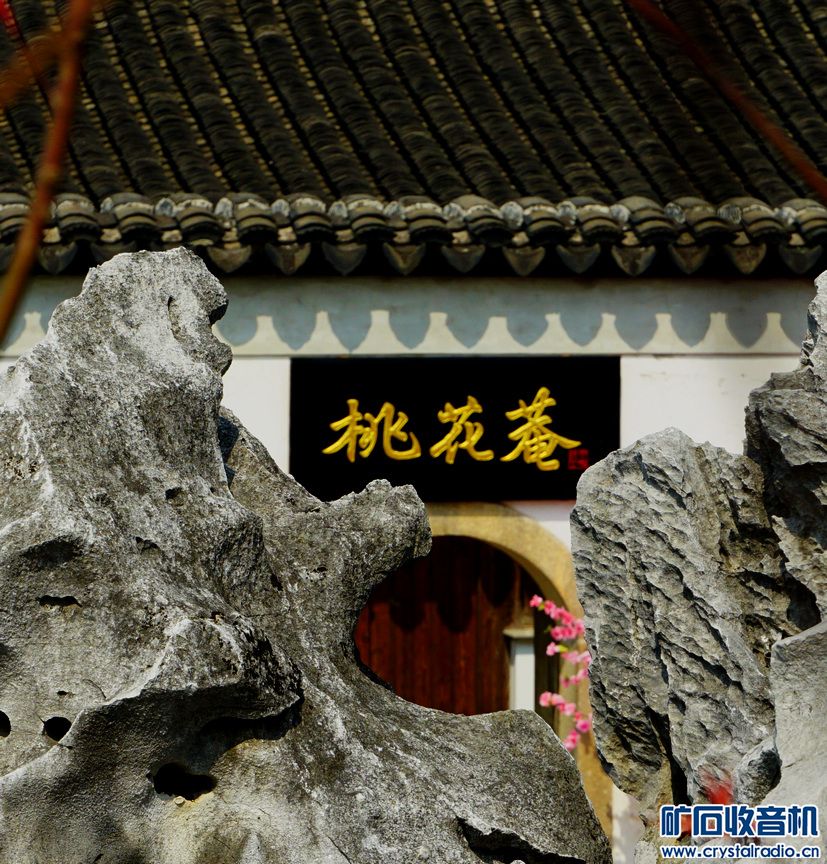 DSC08080.JPG