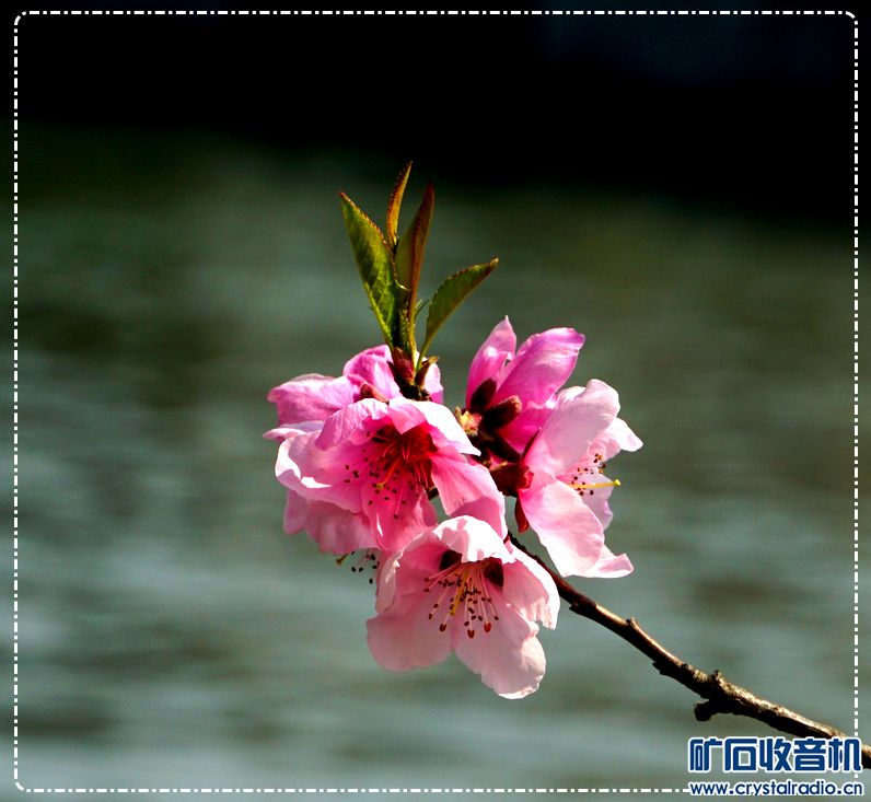 DSC08246.JPG
