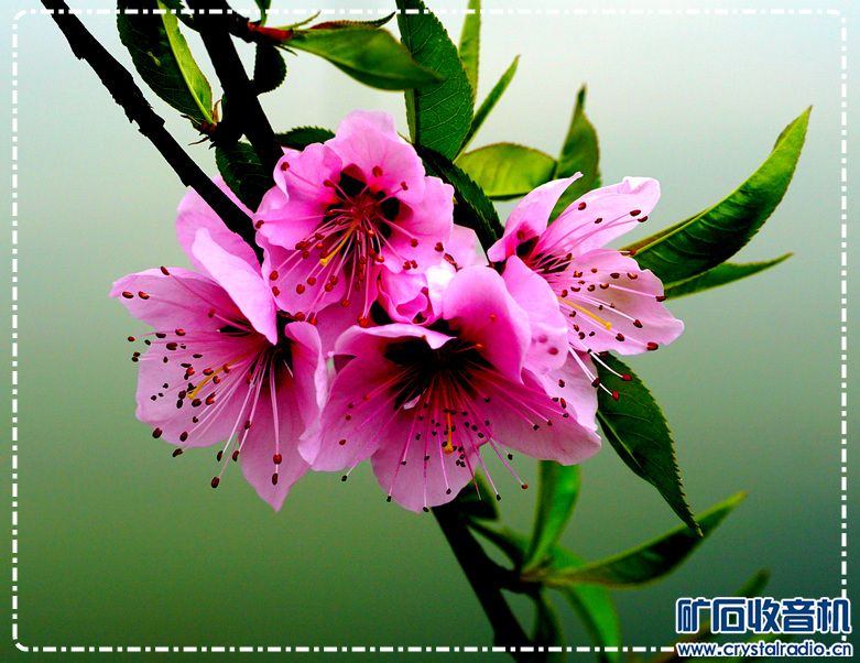 DSC08105.JPG