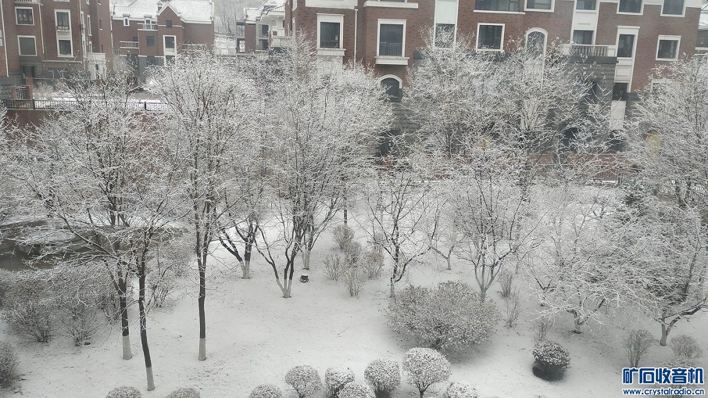 webwxgetmsgimg.jpg