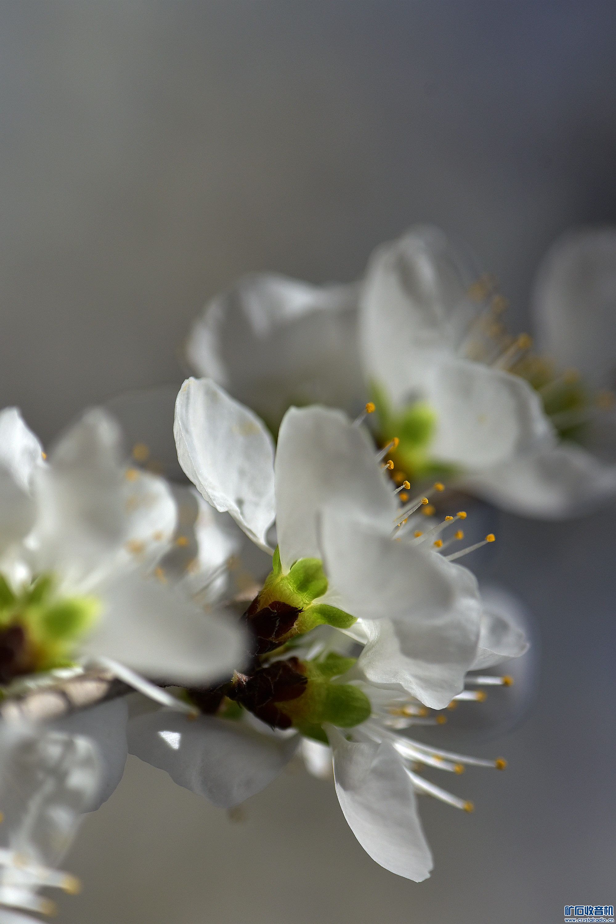 DSC_3843_@01.jpg