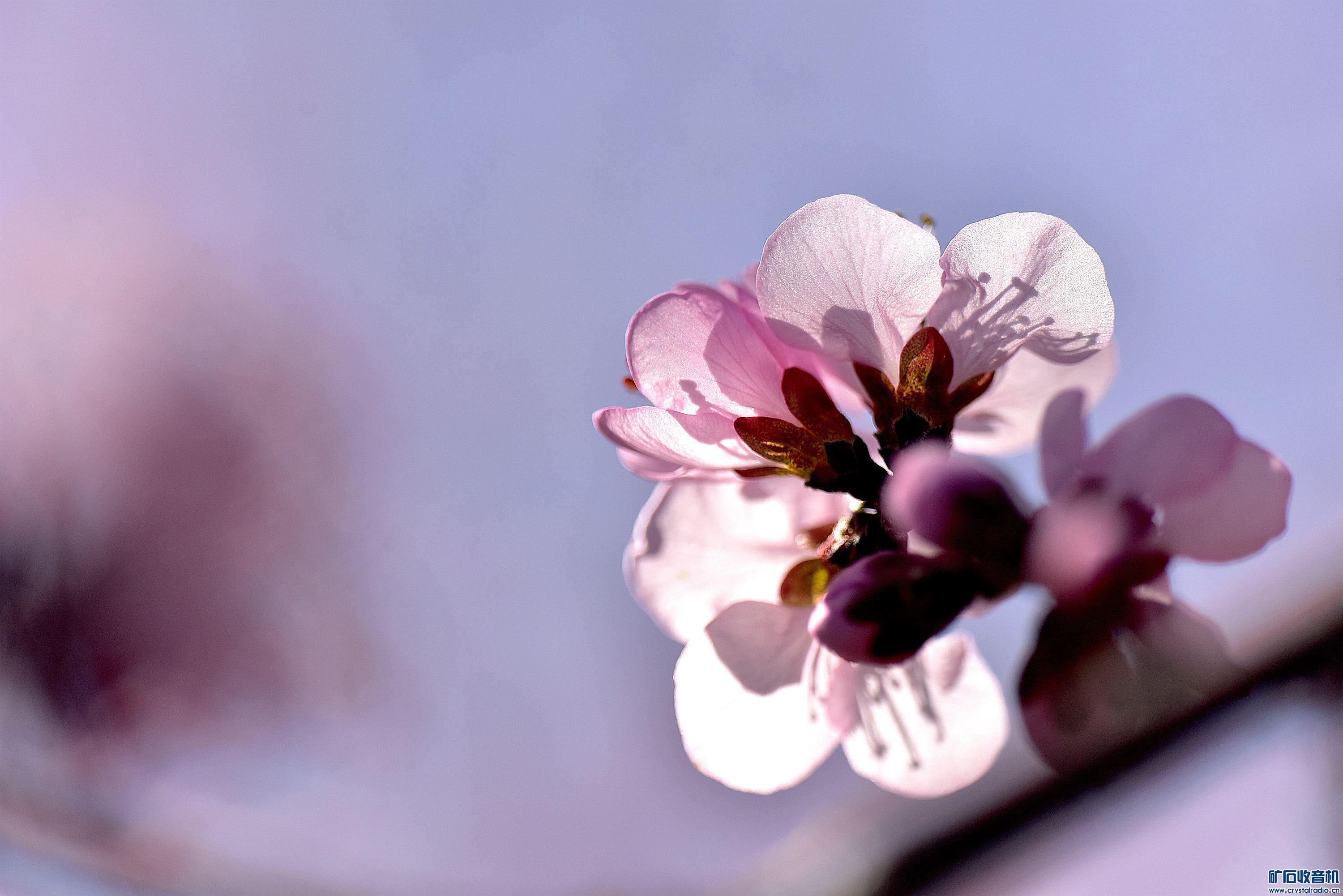 DSC_3843_@04.jpg