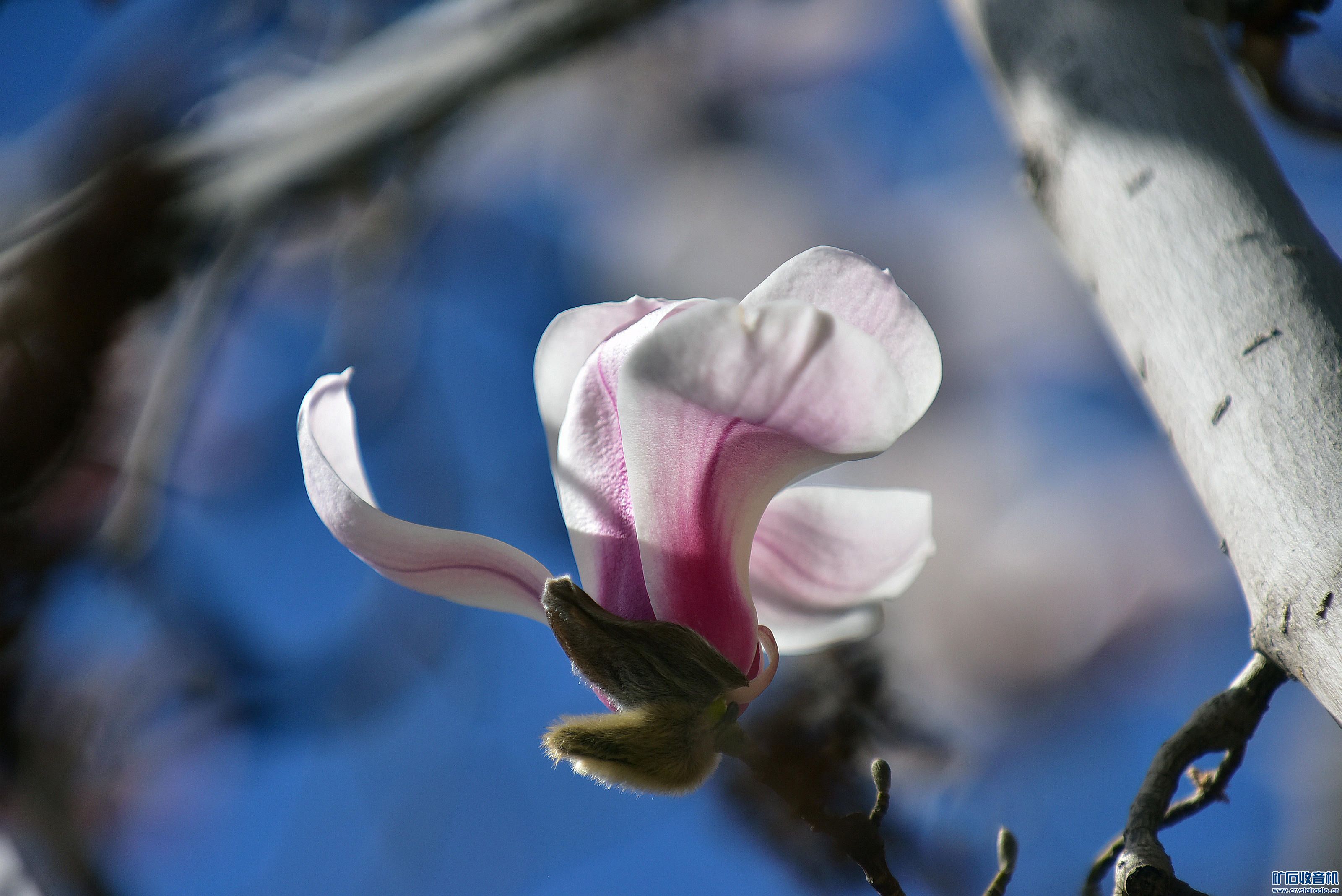 DSC_3843_@21.jpg