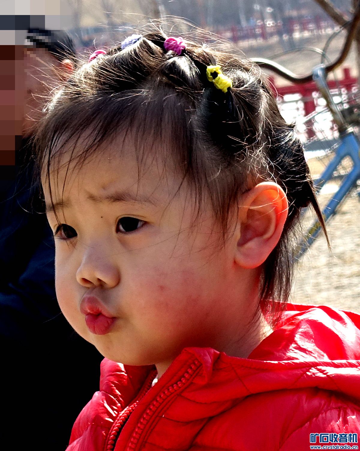 DSC09853.jpg