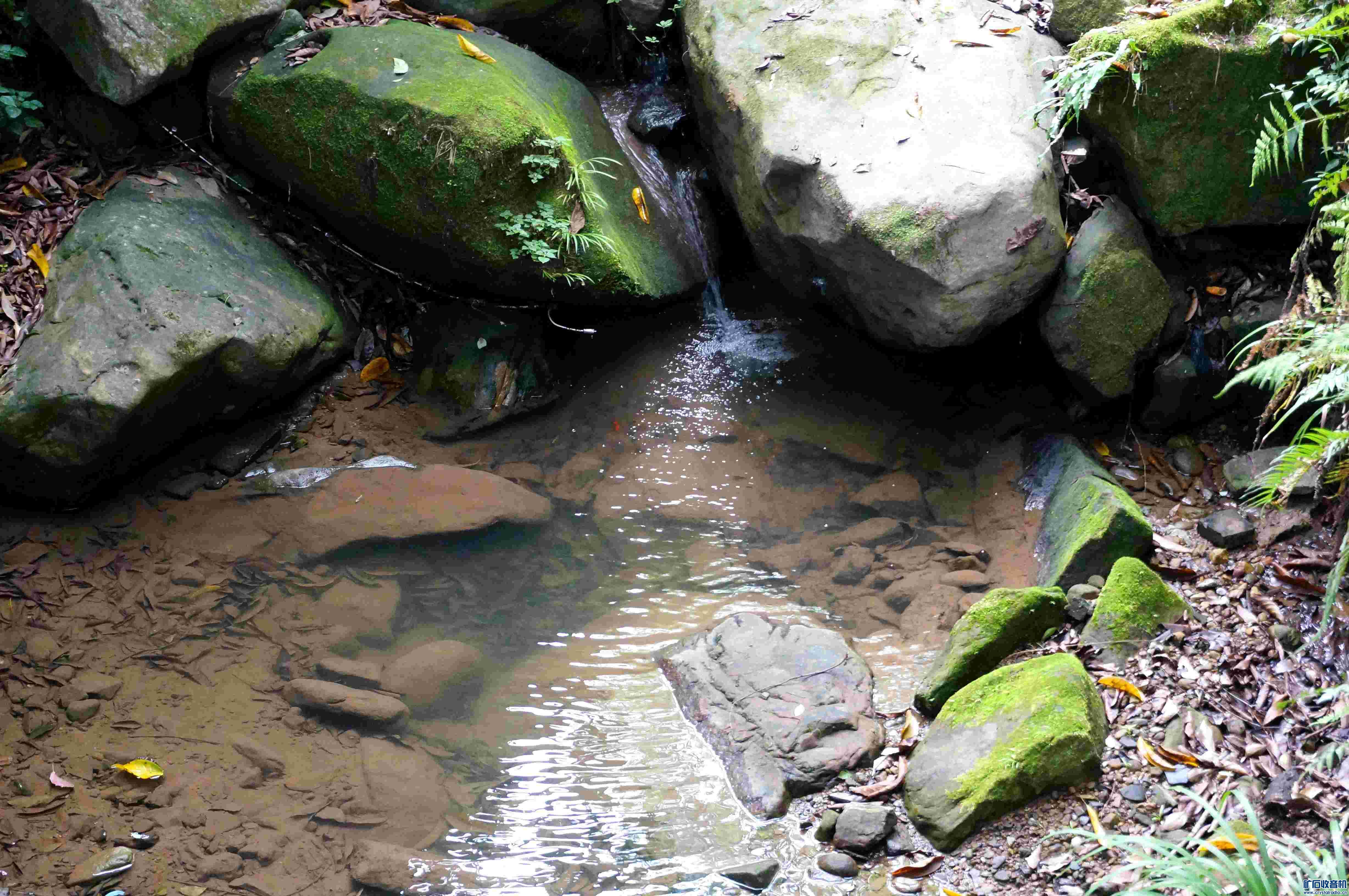 DSC05441_.jpg