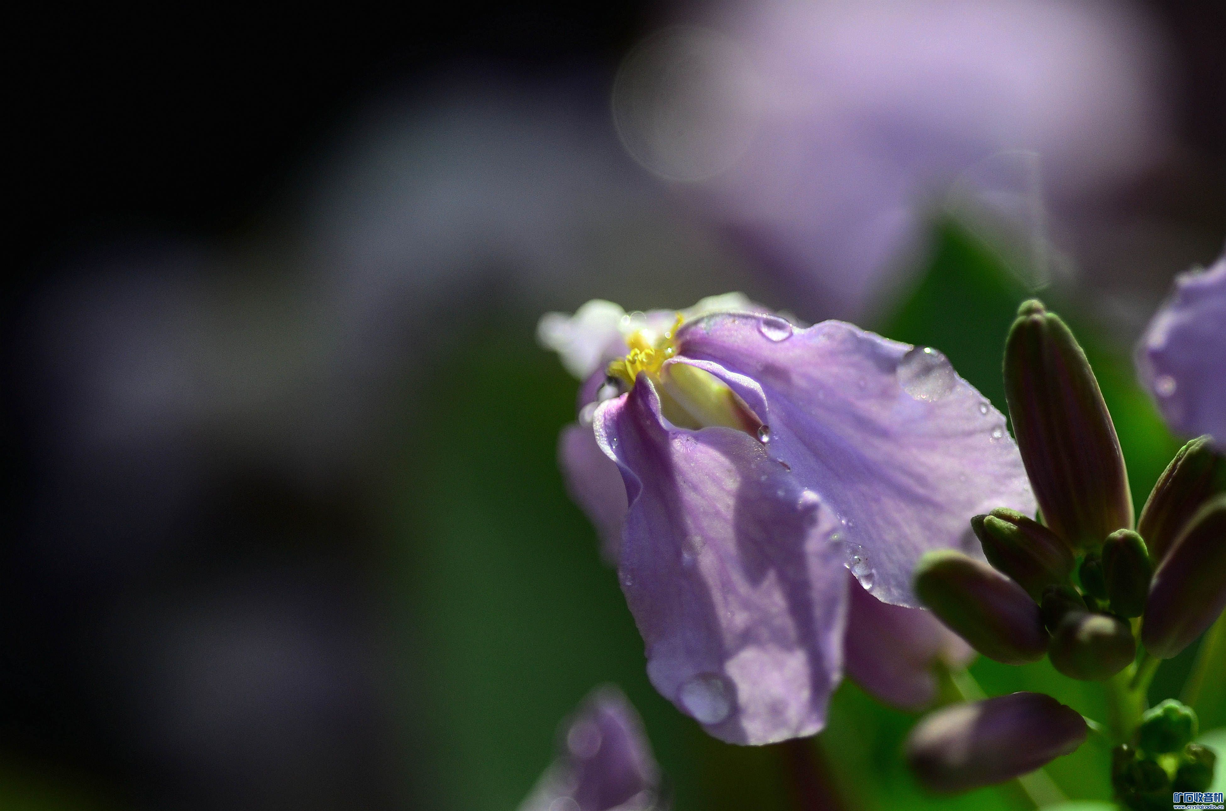 DSC_0007_@06.jpg