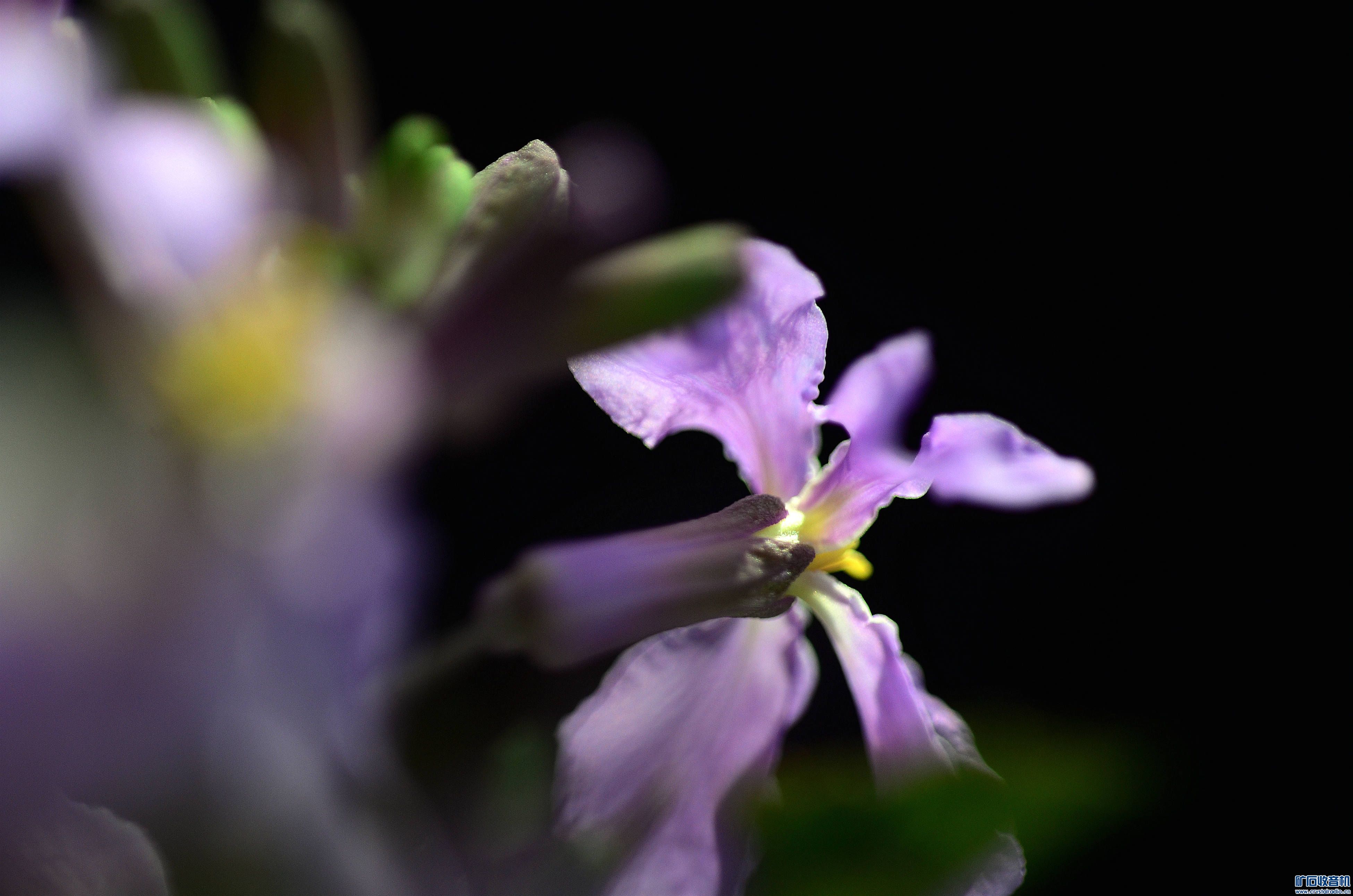 DSC_0007_@09.jpg