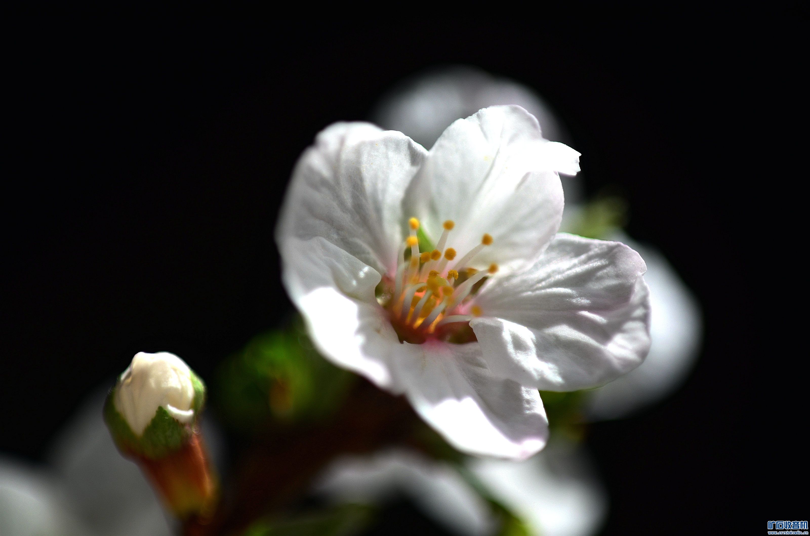 DSC_0069_.jpg