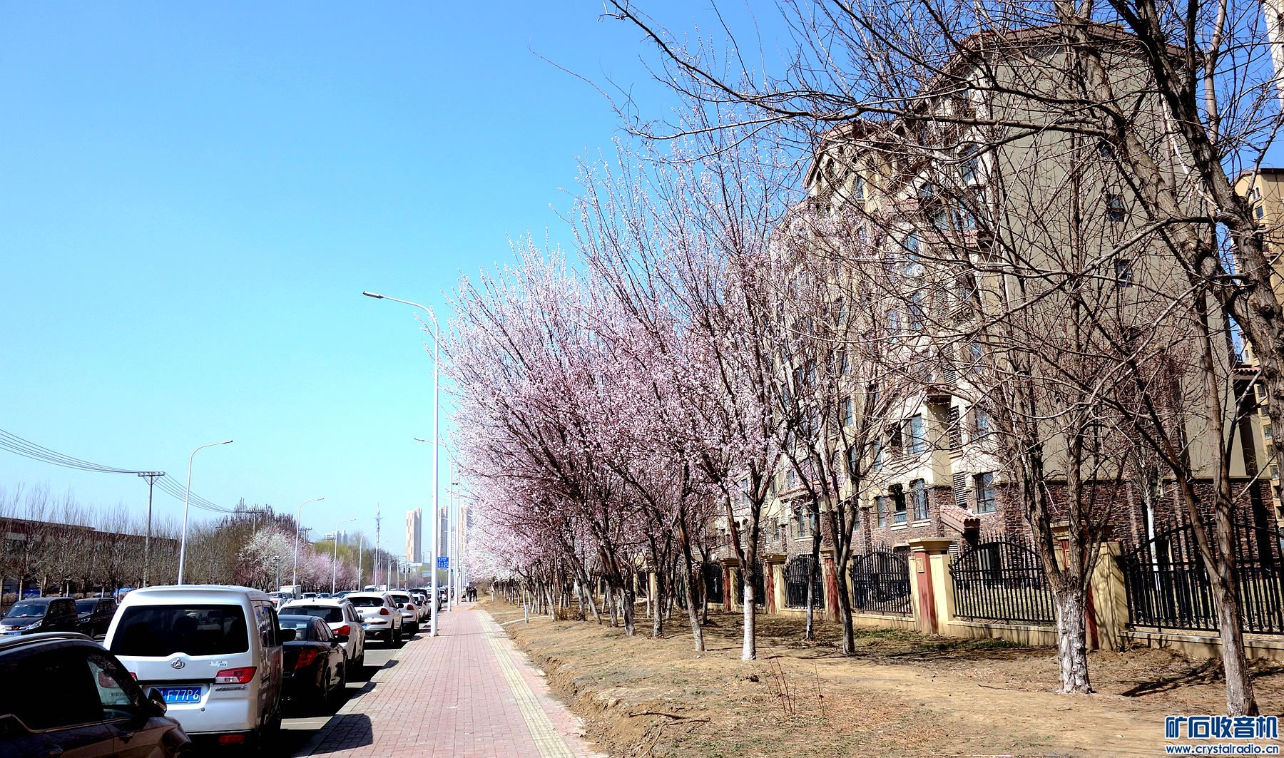 DSC09174.jpg