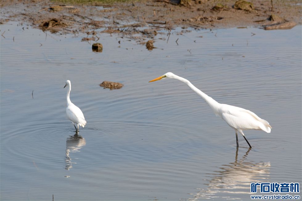 DSC_0157_.jpg