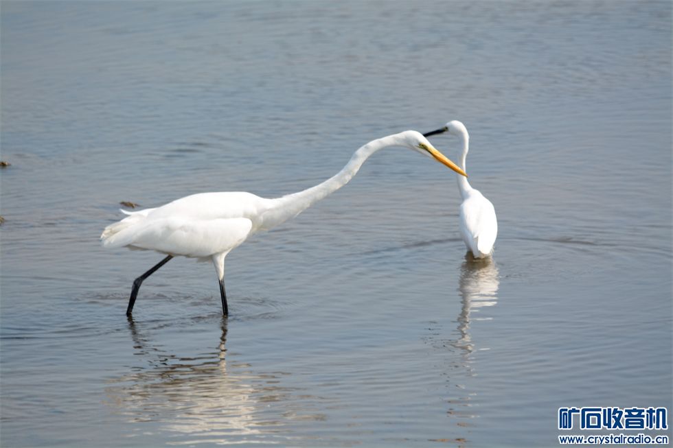 DSC_0180_.jpg