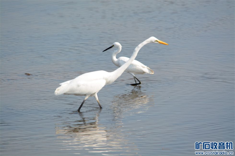 DSC_0181_.jpg