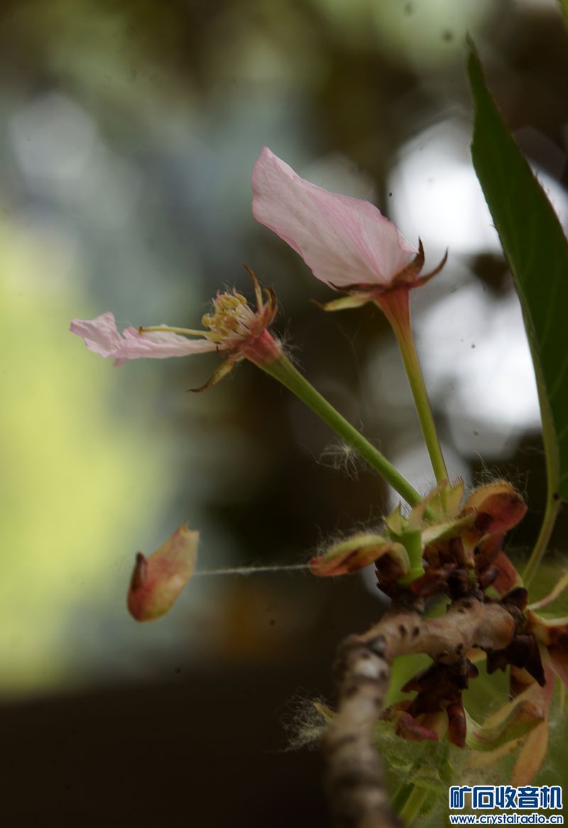 DSC00354_.jpg