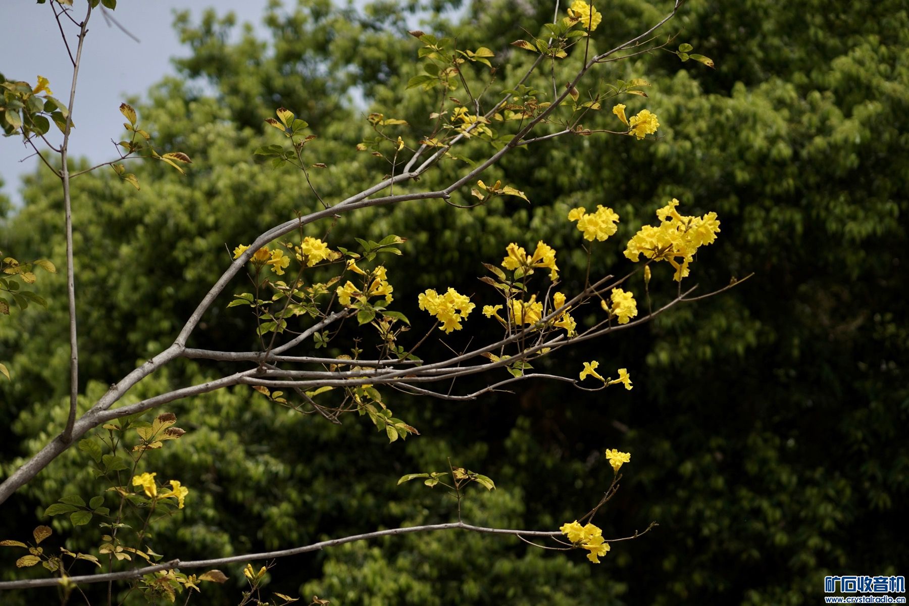 057F24FA-5419-4F6C-AAEC-A13632C46D30.jpeg