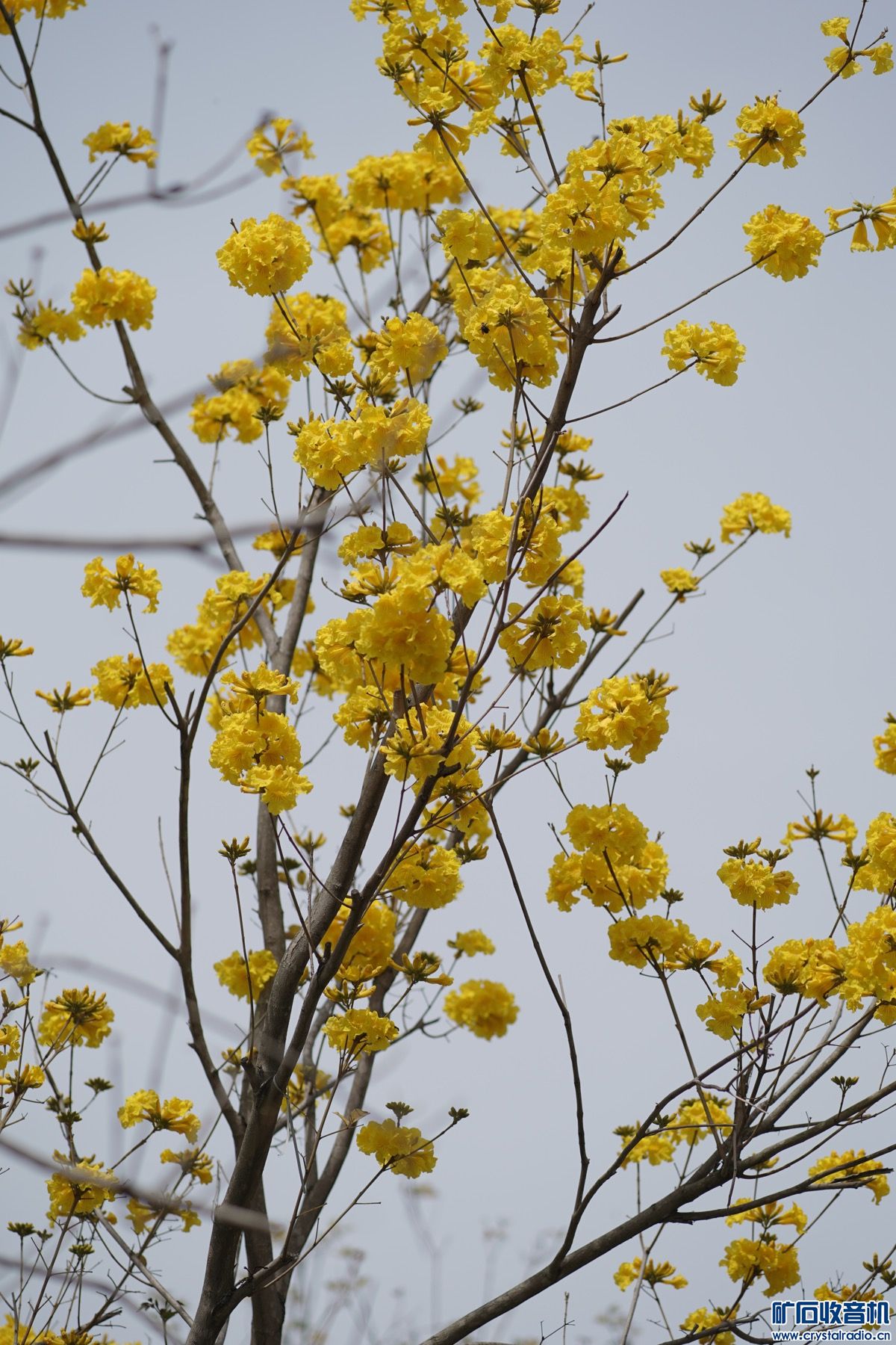 52202C85-30C9-4D97-A074-FE35F8069CB2.jpeg