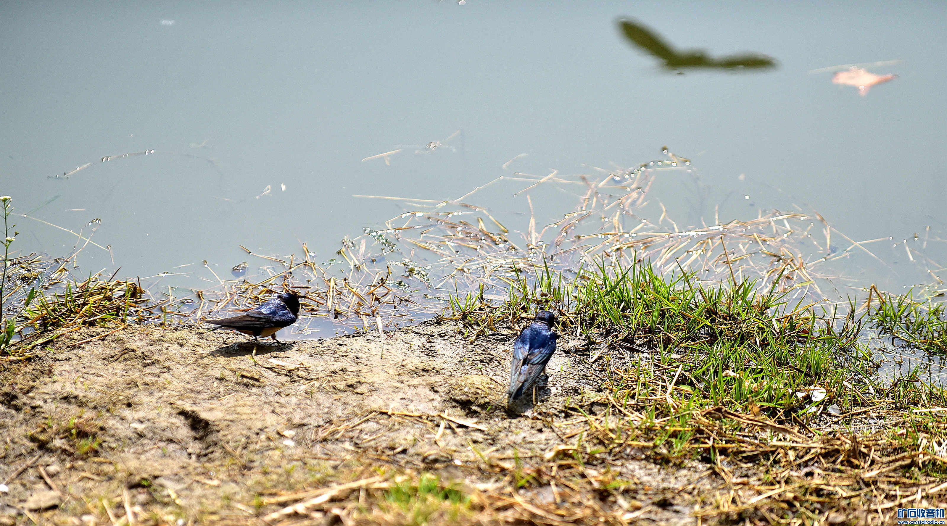 DSC_4504_@06.jpg