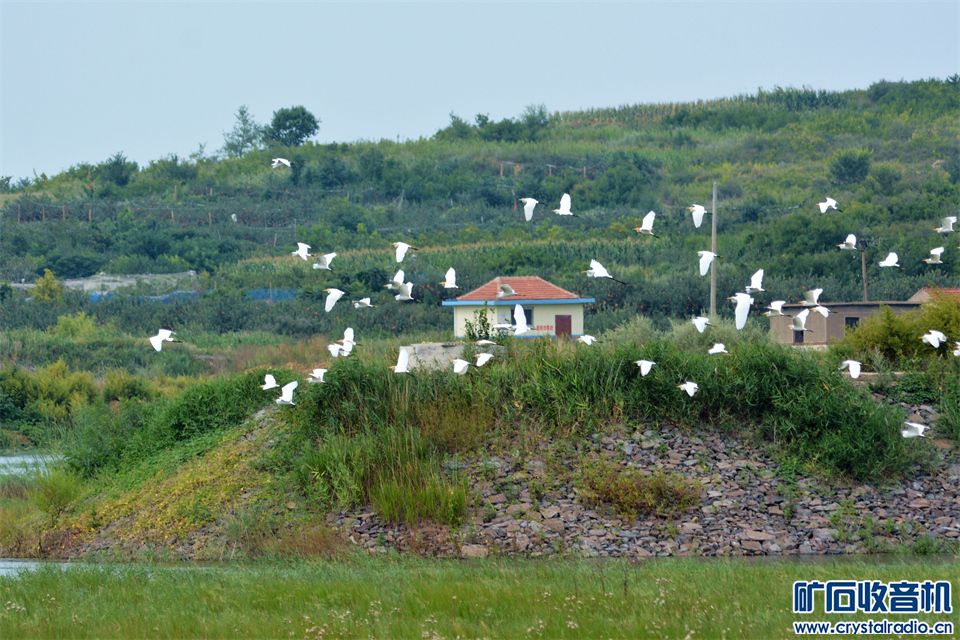 DSC_7580__.jpg