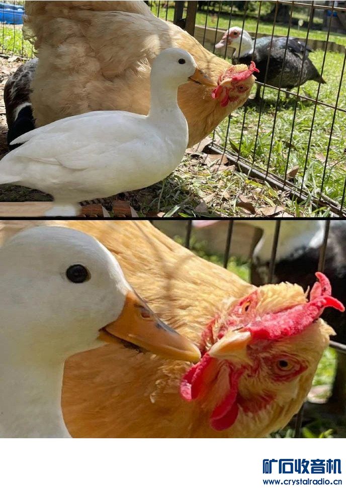 0.jpg