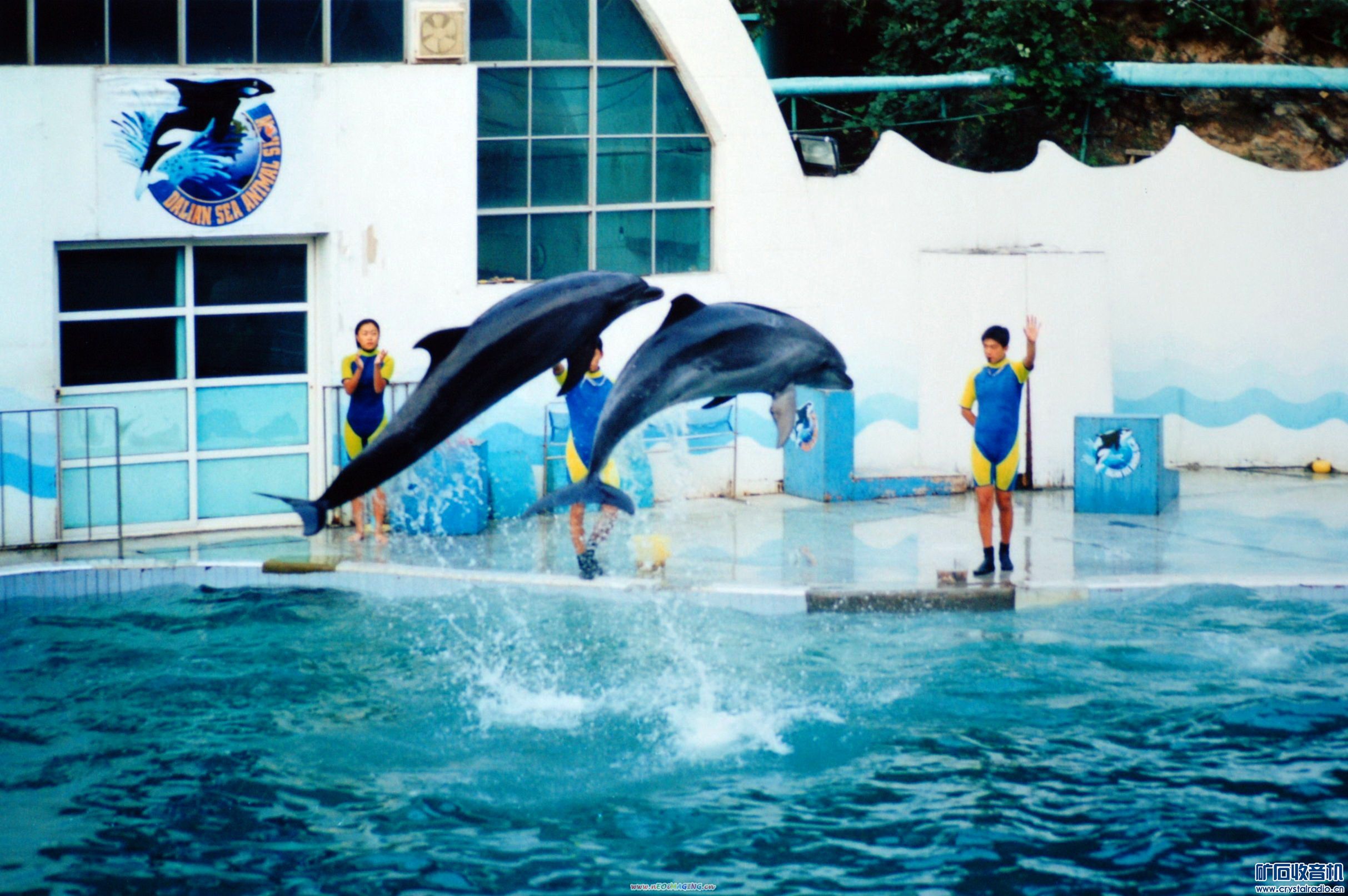 ԰ 2003_3267.jpg