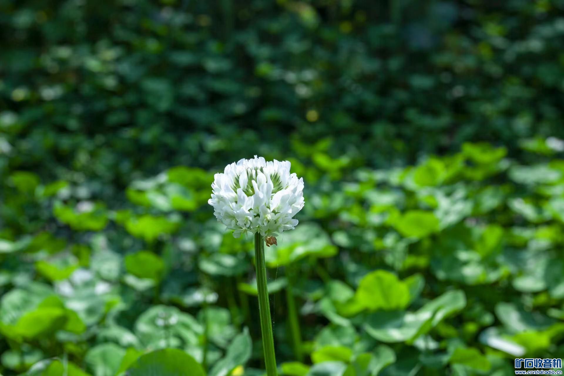 D6B33BCD-35AB-4404-B455-6F46EF8F0E08.jpeg