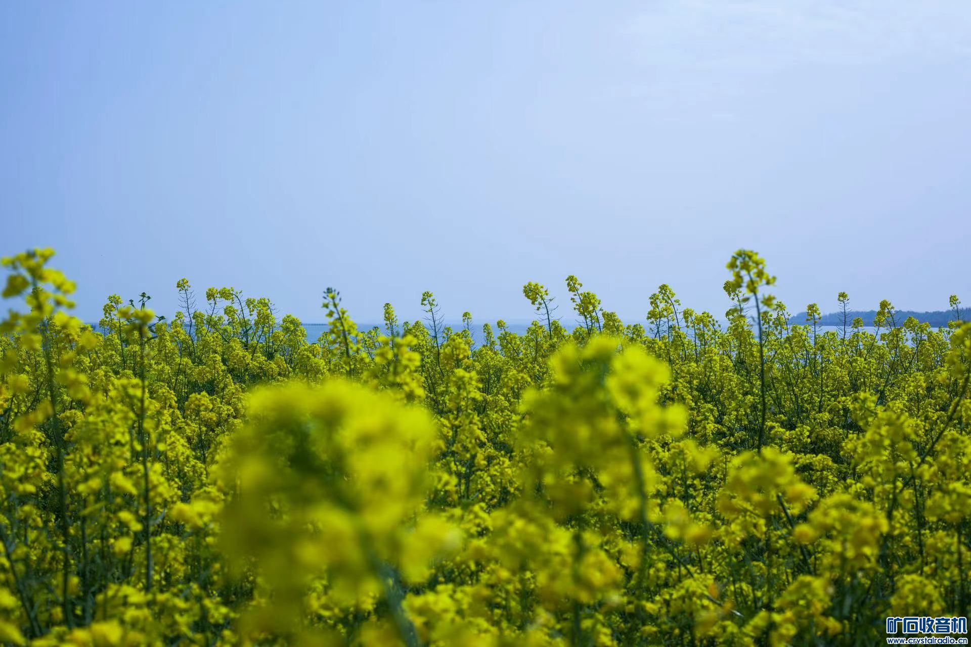 2CC54360-370D-4A5A-869D-2FEDB975BC67.jpeg