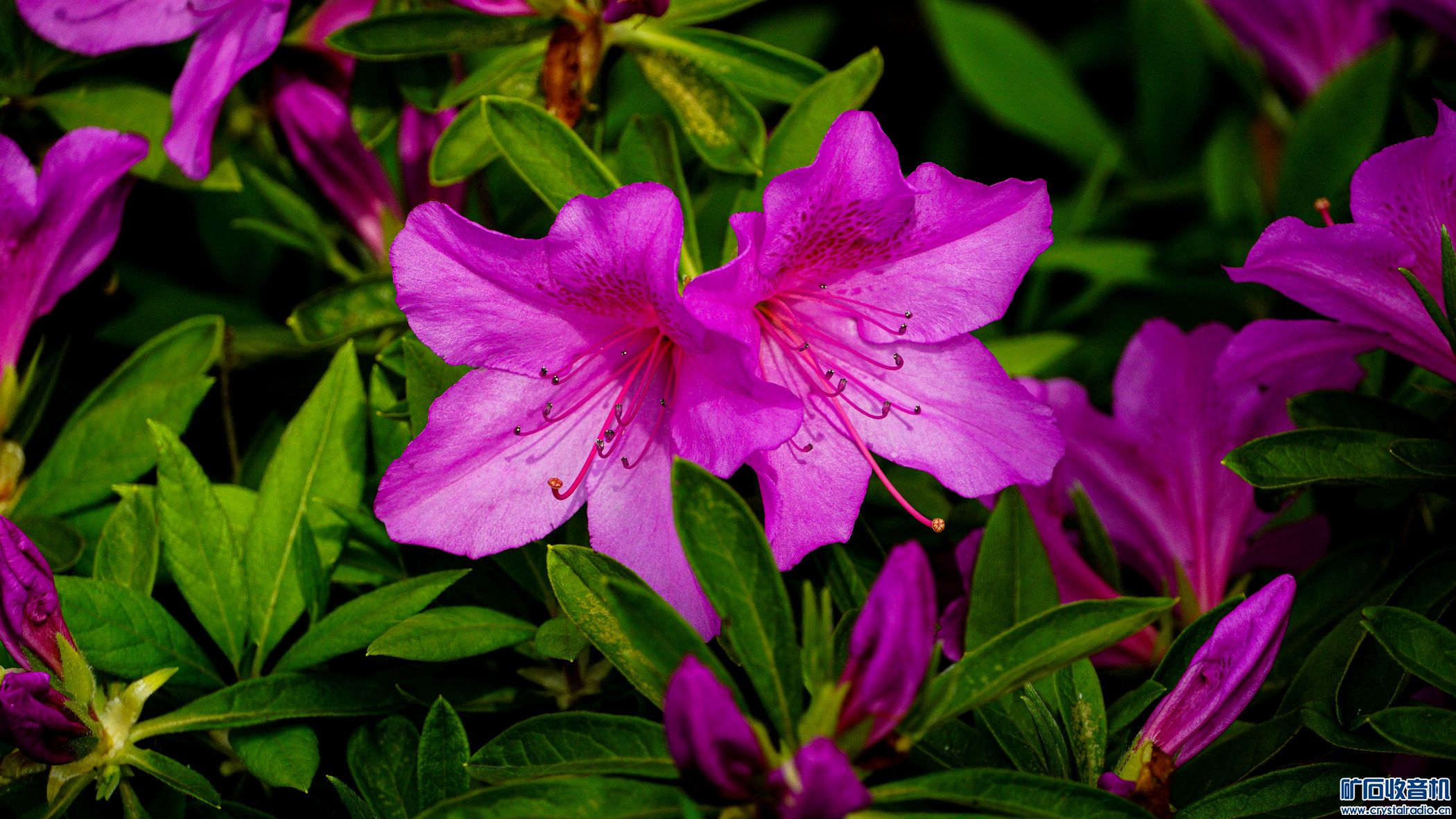 20140117-DSC01424.jpg