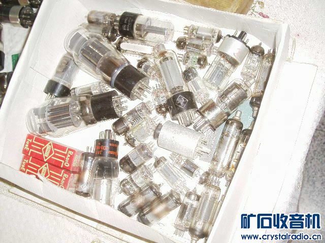 50624310.JPG