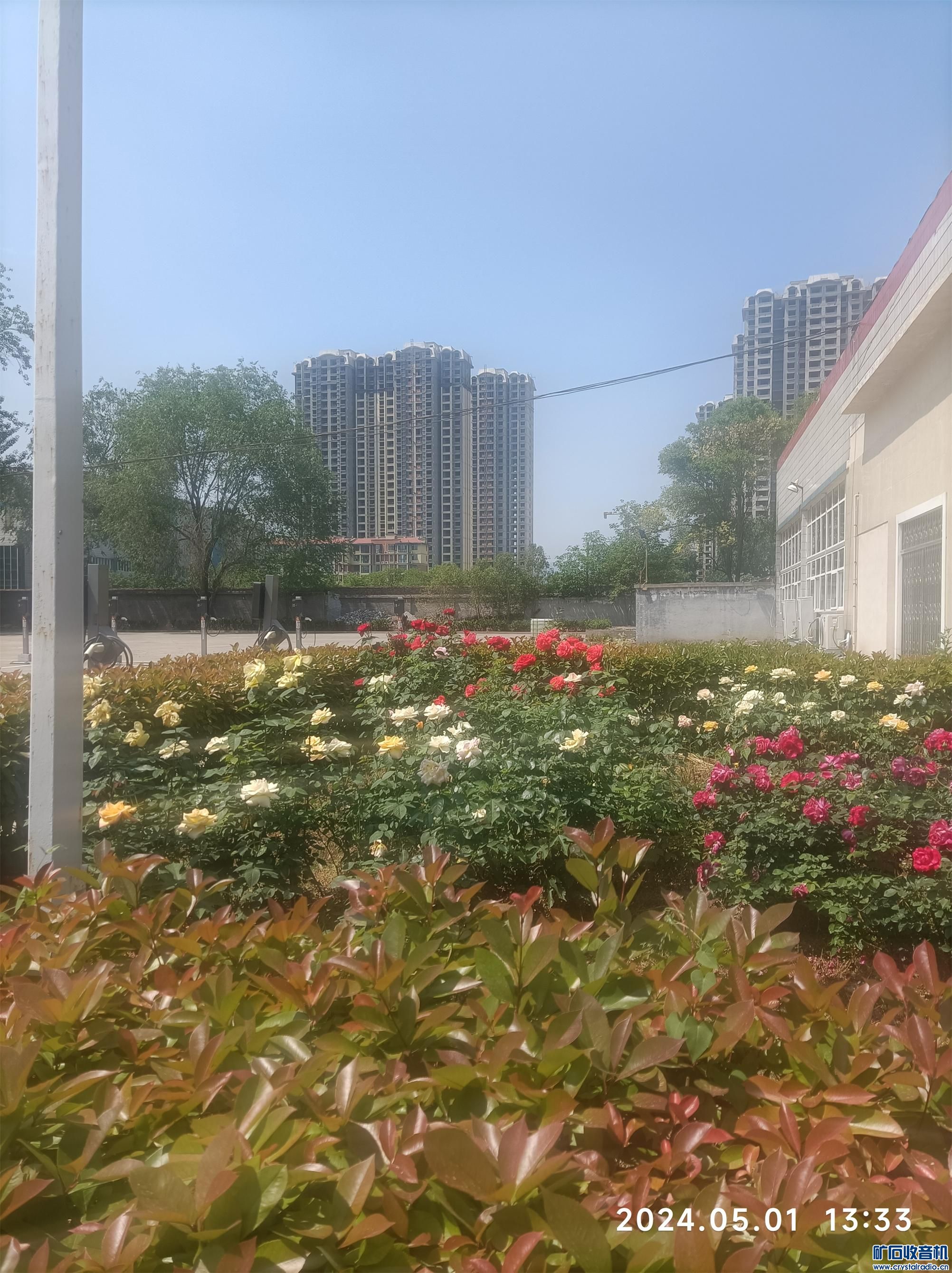 ½ļ (2)1714543010519.jpg