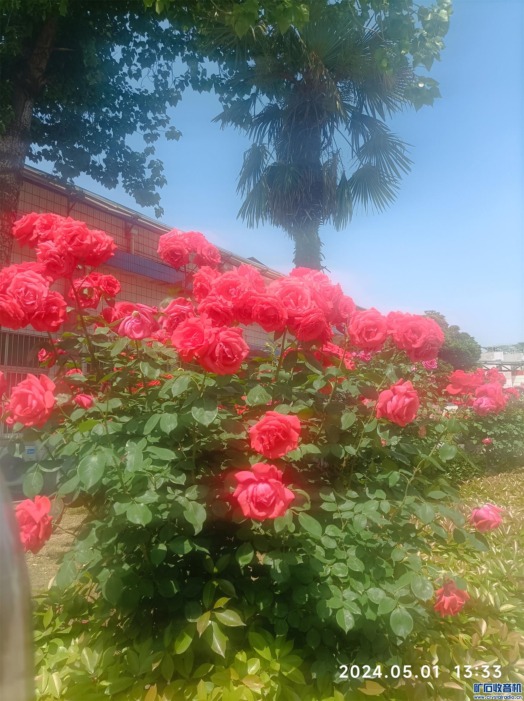 ½ļ (2)1714543010557.jpg